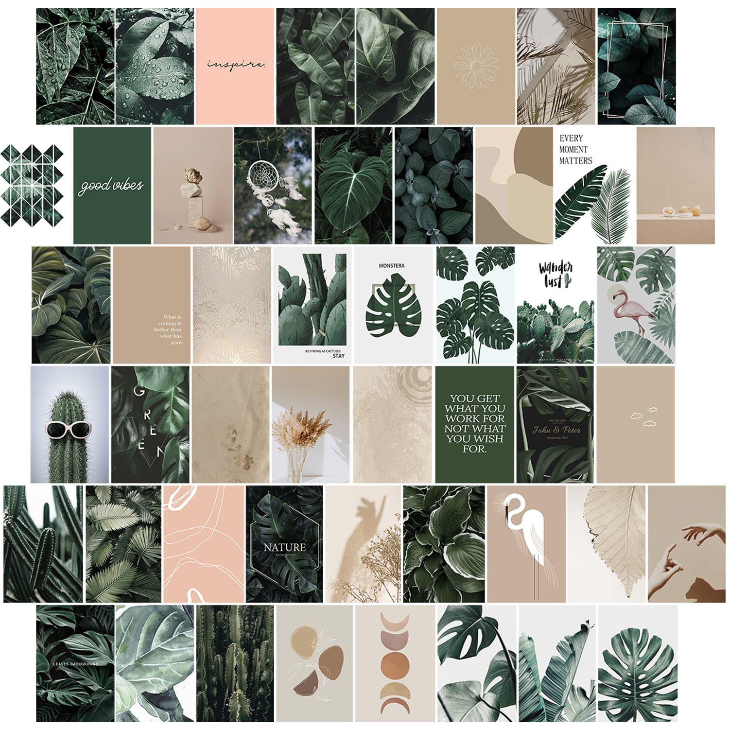 Wenshing Wall Collage Kit Aesthetic Picture, Boho Cottagecore Preppy Indie Room Decor for Teen Girls, Sage Green Botanical Wall Decor Art Posters for Bedroom Aesthetic (50PCS): Posters & Prints