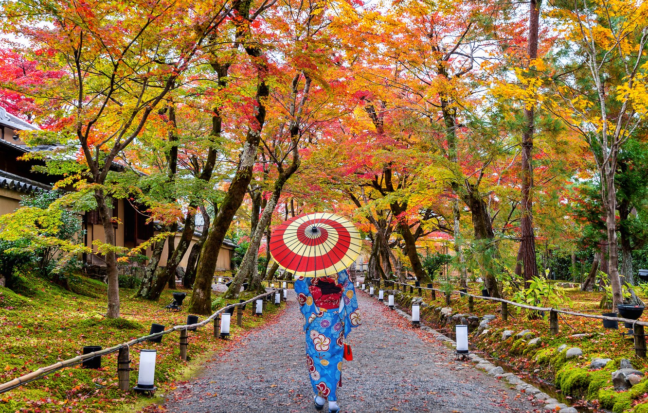 Wallpaper autumn, leaves, girl, trees, Park, colorful, Japan, Japan, kimono, nature, umbrella, park, autumn, leaves, tree, kimono image for desktop, section пейзажи