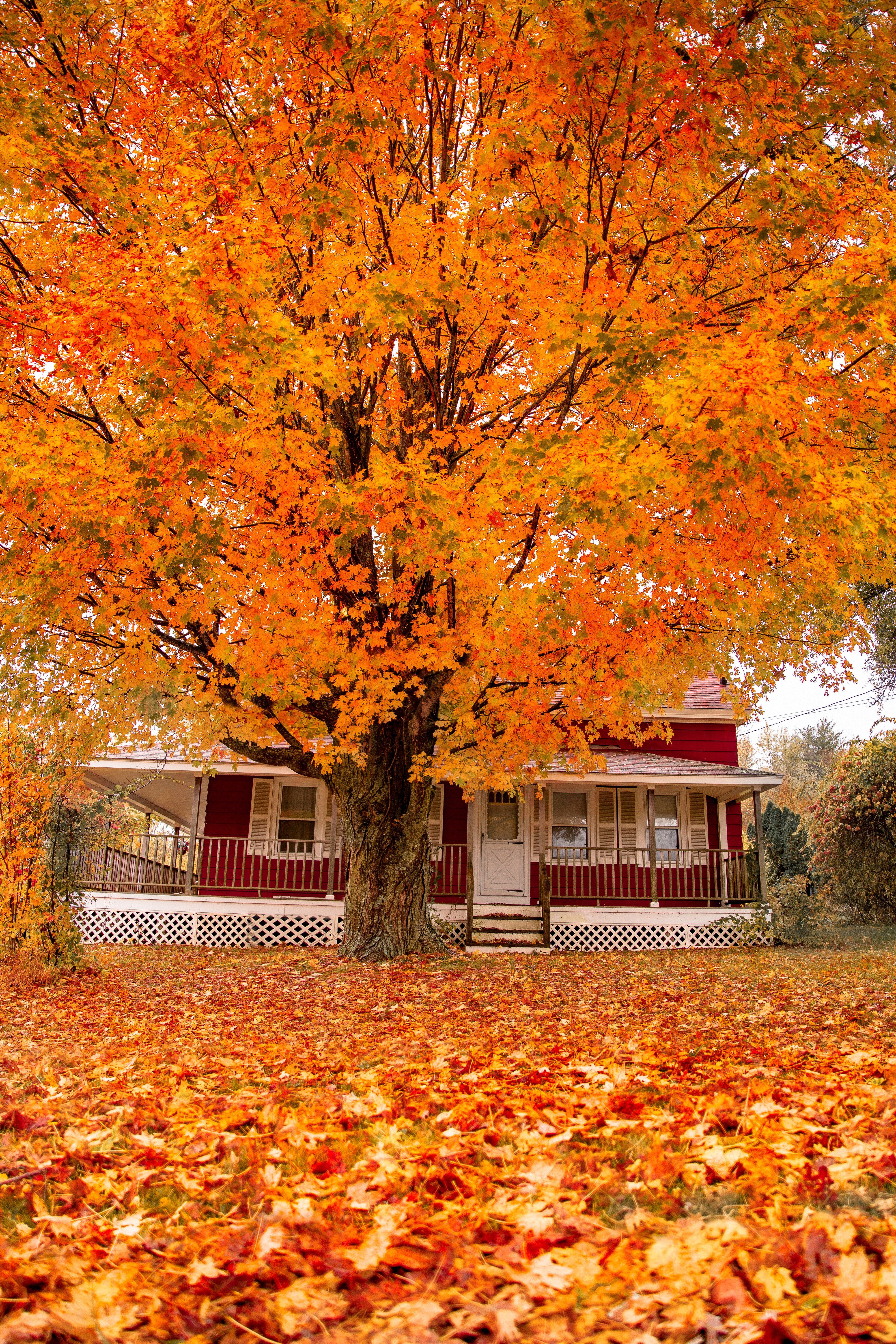 The New England Guide to Leaf Peeping Girls Wear Pearls. Autumn landscape, Autumn scenes, Fall picture