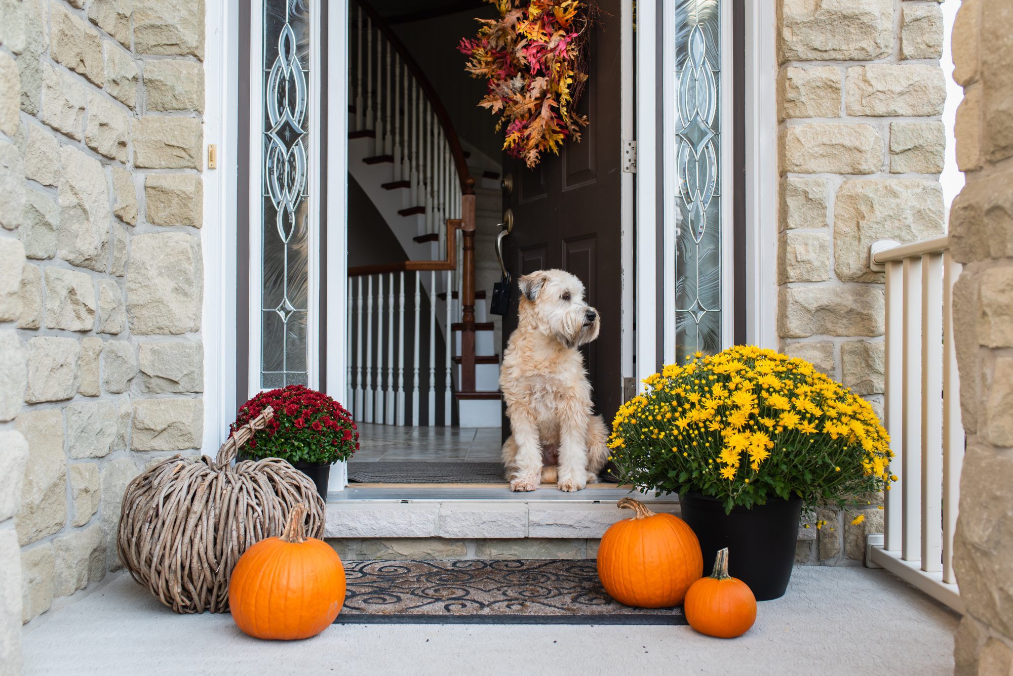 Fall Decor Pieces For Your Front Porch Starting at $10