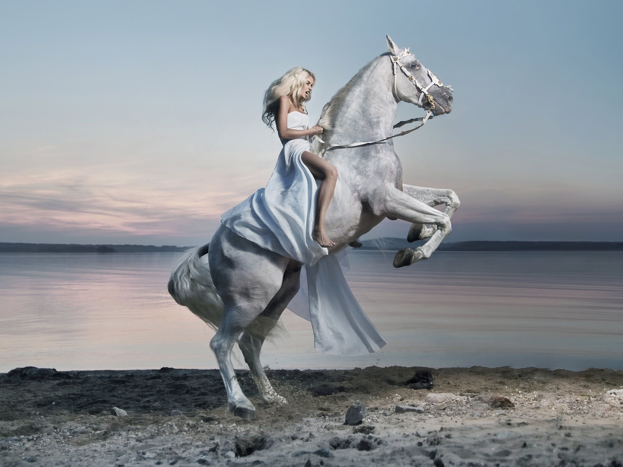 white horse #girl #lake #horse #dress #rider #rider K #wallpaper #hdwallpaper #desktop. Wild horses running, Horses, White horse