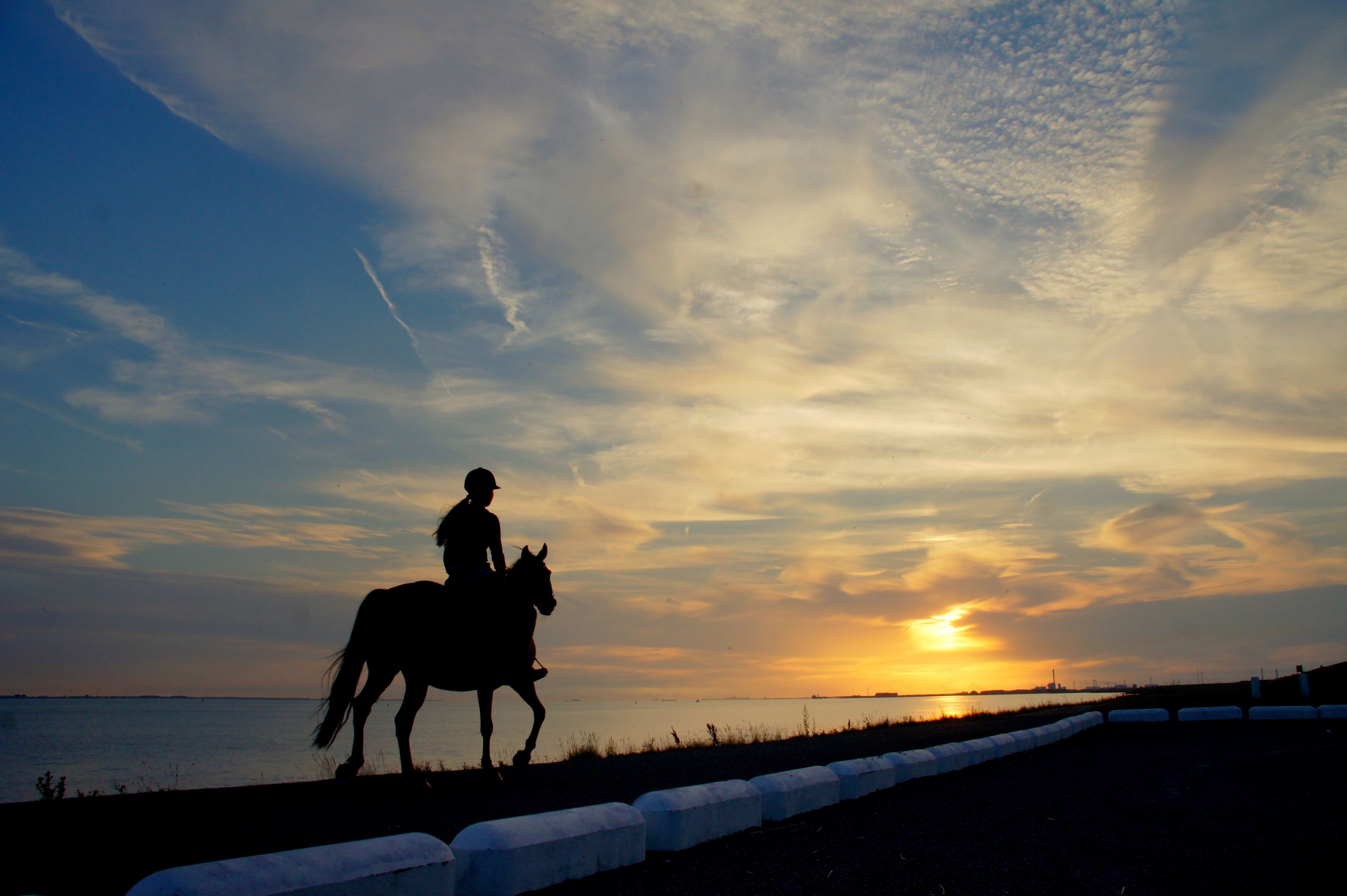Download Silhouette Sunset Horse