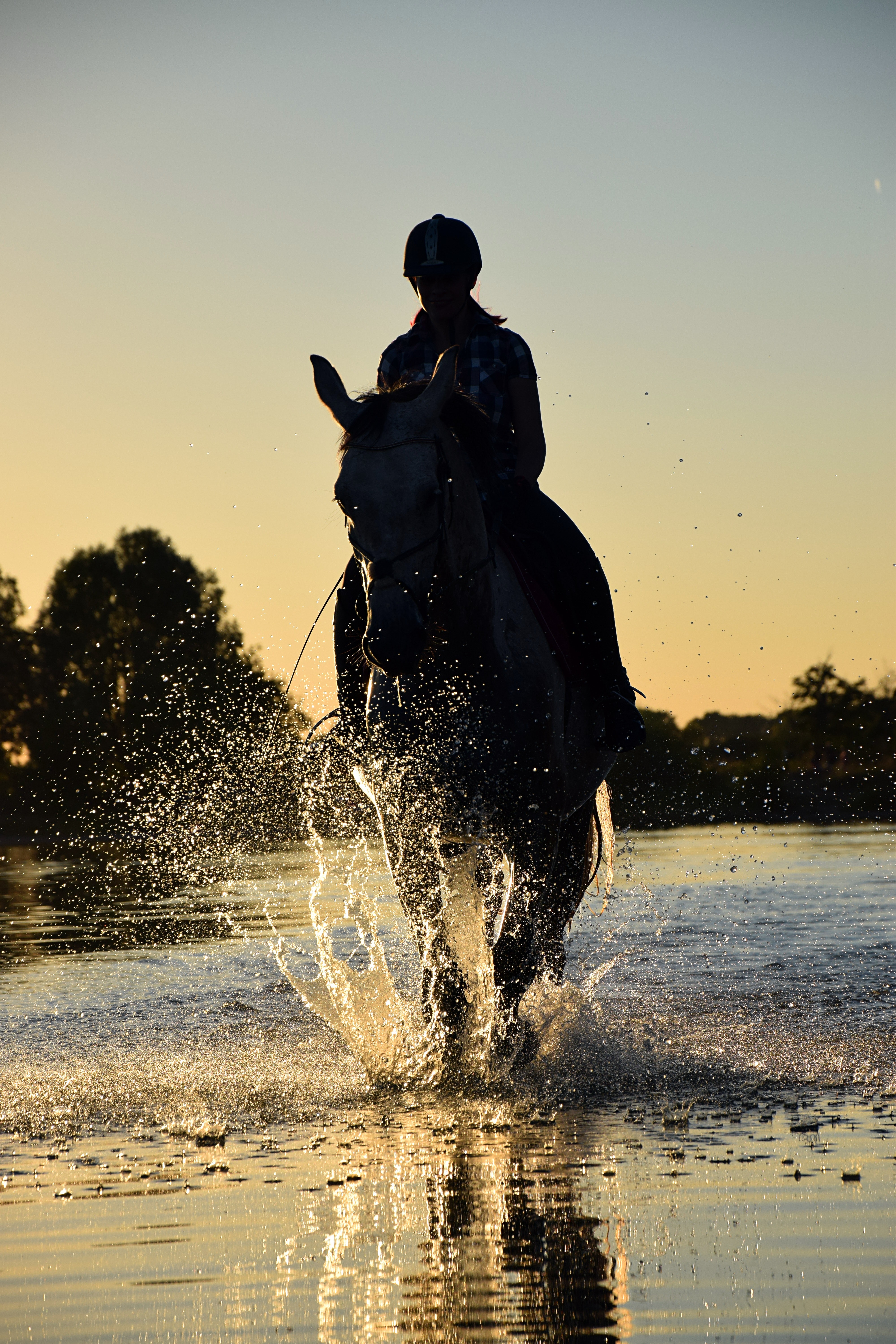 Horse Silhouette Photo, Download