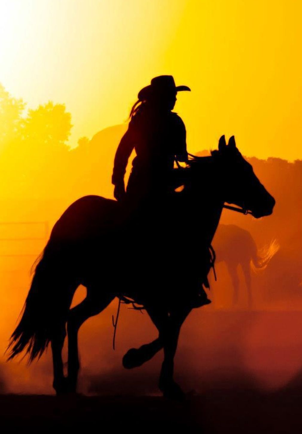 Romantic Girl Horse Wallpaper Discover more Beautiful, Emotional, Noble, Photography, Romantic wallpaper.. Horse silhouette, Horses, Horse wallpaper