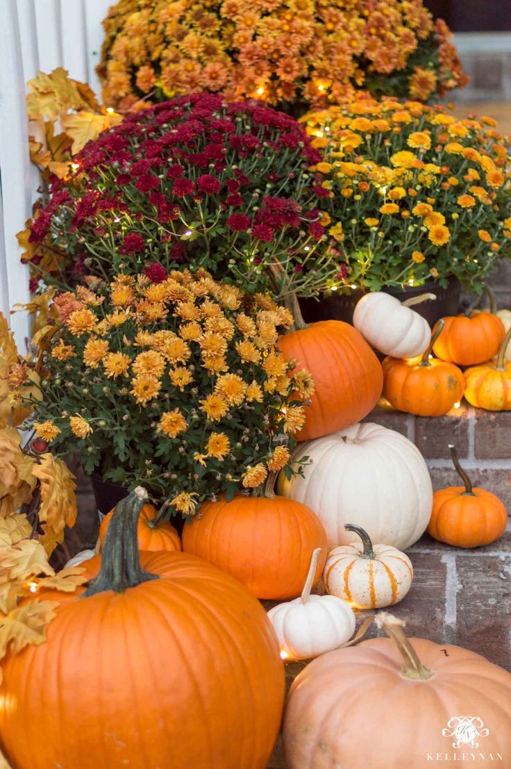 Fall Porch Decor: Statement Making Front Steps Nan. Fall Decorations Porch, Fall Front Porch Decor, Fall Porch
