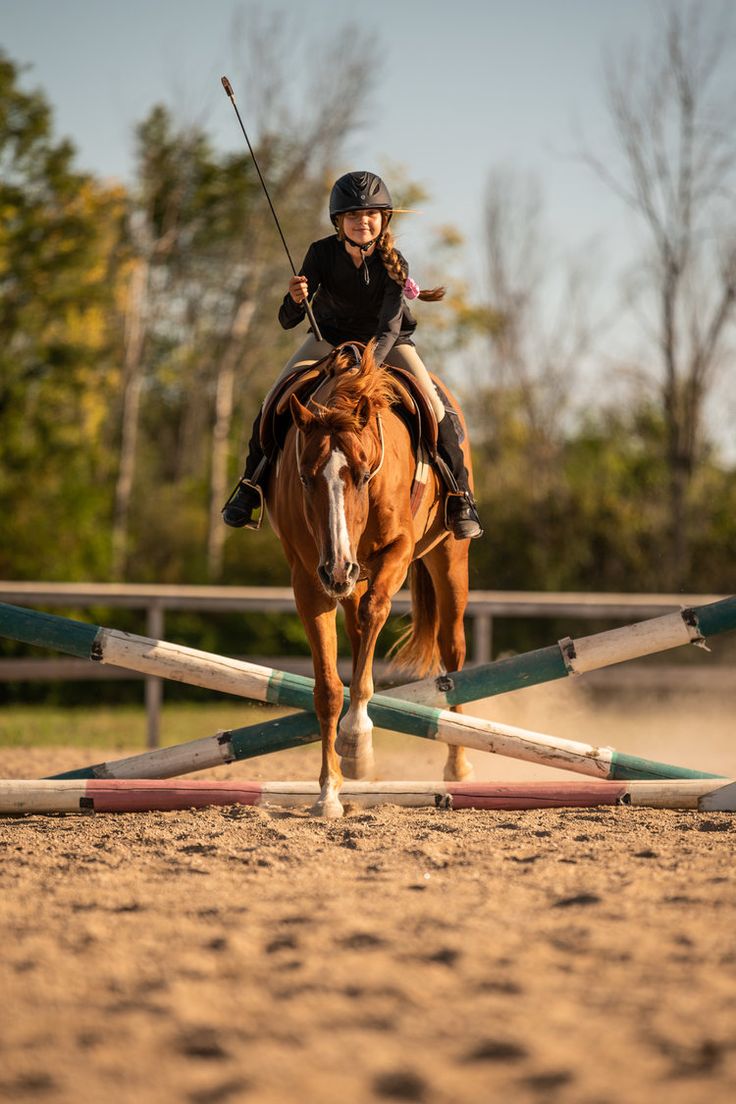A girl jumping her chestnut horse at liberty in an arena during sunset. #equestrianphotography #samanthamph. Chestnut horse, Horse photography, Beautiful horses