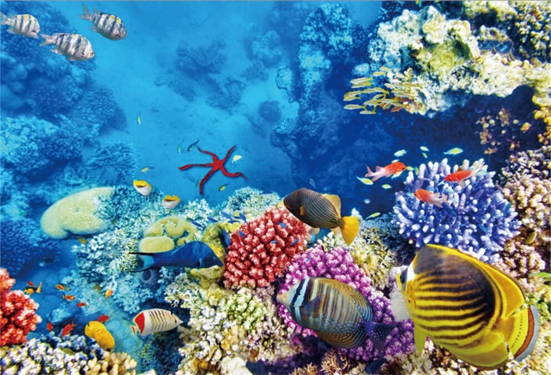 Amazon.com, AOFOTO 8x6ft Coral and Tropical Fish in The Sea Backdrop Aquarium Underwater Seascape Photography Background Marin Ocean Diving Reef Trip Photo Studio Props Boy Girl Artistic Portrait Wallpaper