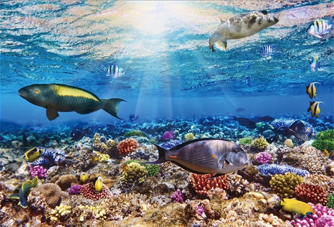 Amazon.com, AOFOTO 6x4ft Coral and Fish in The Sea Backdrop Aquarium Underwater Seascape Photography Background Marin Ocean Diving Atoll Reef Photo Studio Props Kid Children Boy Girl Artistic Portrait Wallpaper