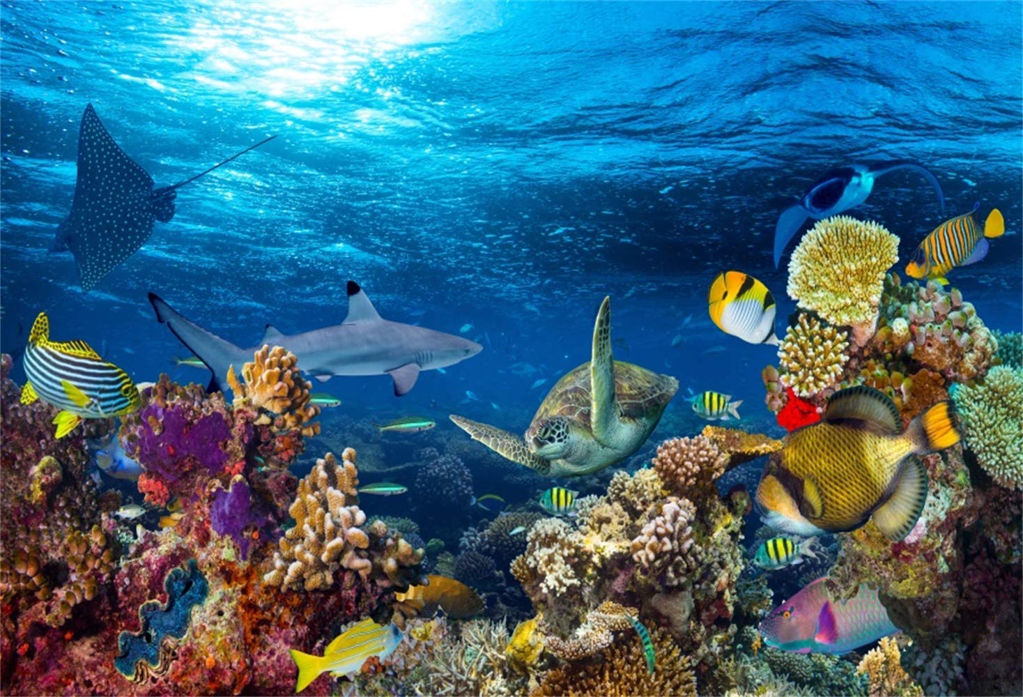 MMPTn 9x6ft Coral and Fish in The Sea Backdrop Aquarium Underwater Seascape Photography Background Marin Ocean Diving Atoll Reef Summer Photo Studio Props Kid Boy Girl Artistic Portrait Wallpaper Online