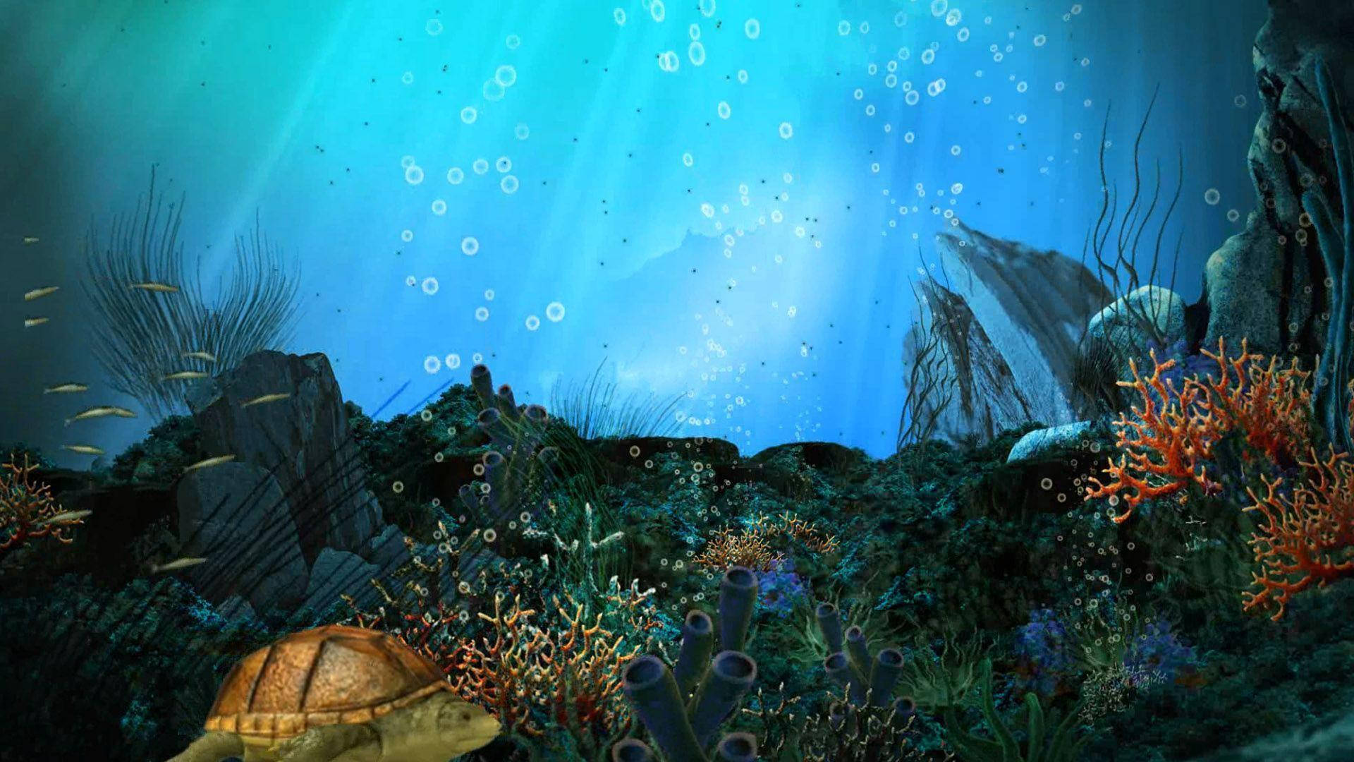 Download Aquatic Seascape With Corals Wallpaper