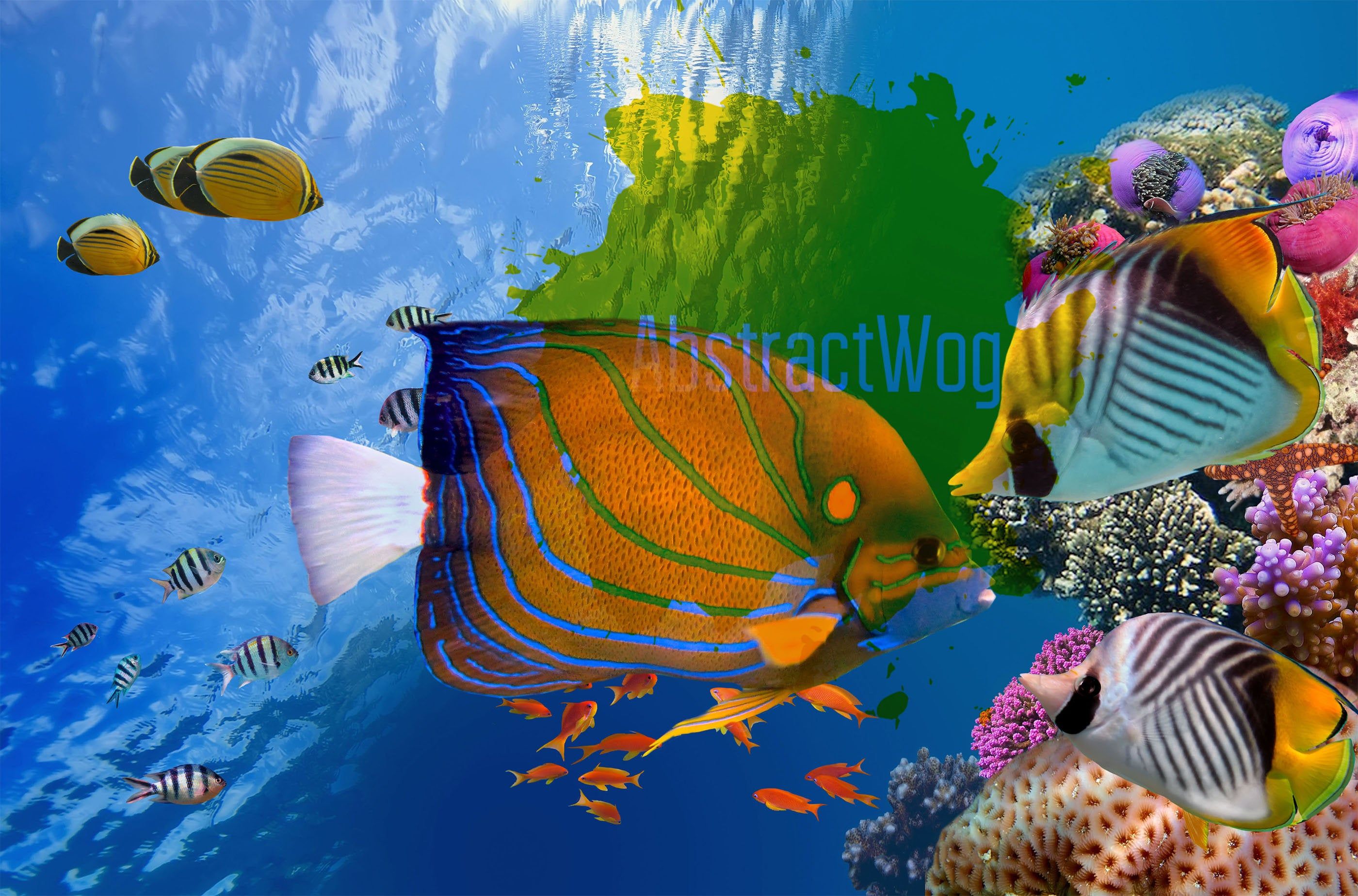 Atoll. Red Sea Wall Art, Fish Wall Art, Tropical Fish Multi Panels, Beautiful Underwater World Artwork, Seascape Underwater Wall Art. Tropical fish, Underwater world, Underwater fish