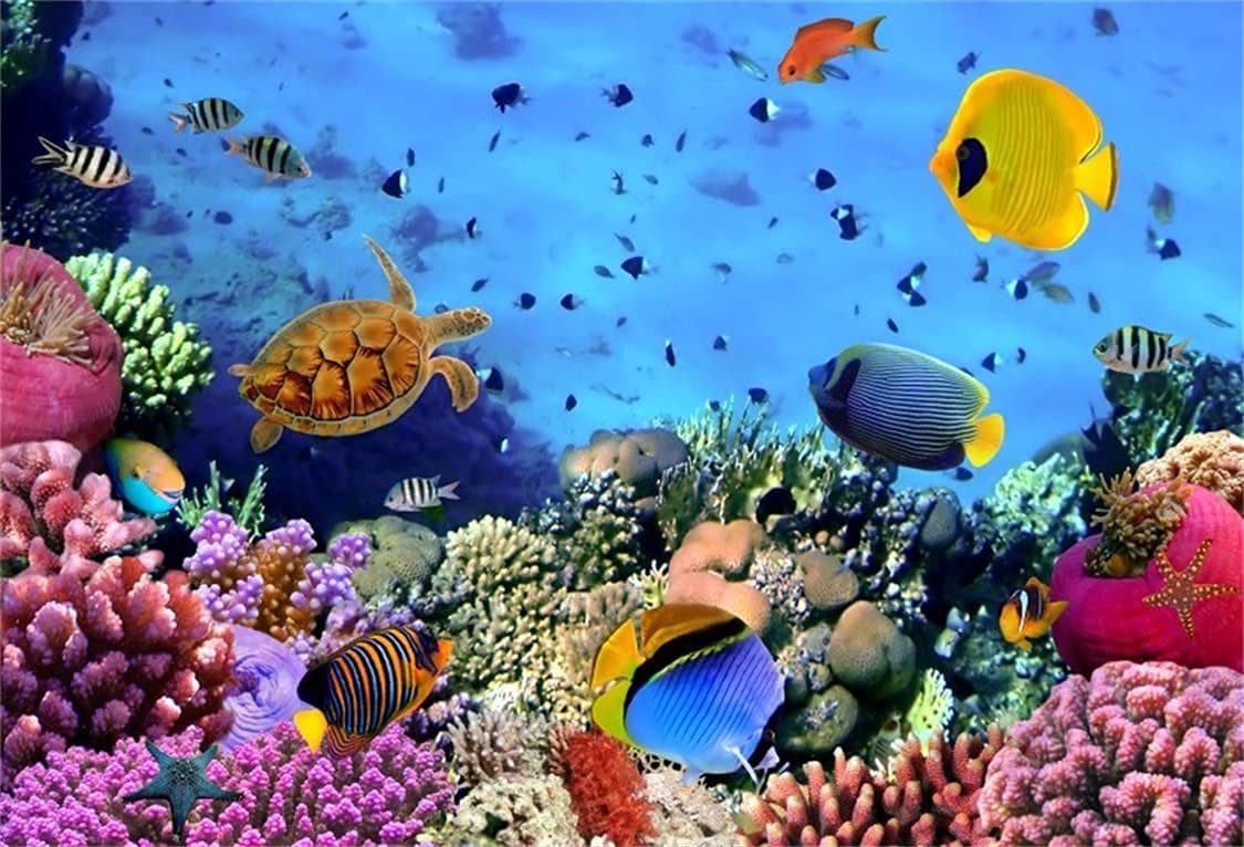 Video Studio AOFOTO 5x3ft Coral and Fish in The Sea Backdrop Aquarium Underwater Seascape Photography Background Marin Ocean Diving Atoll Reef Summer Photo Studio Props Kid Boy Girl Artistic Portrait Wallpaper avenueeventgroup.com