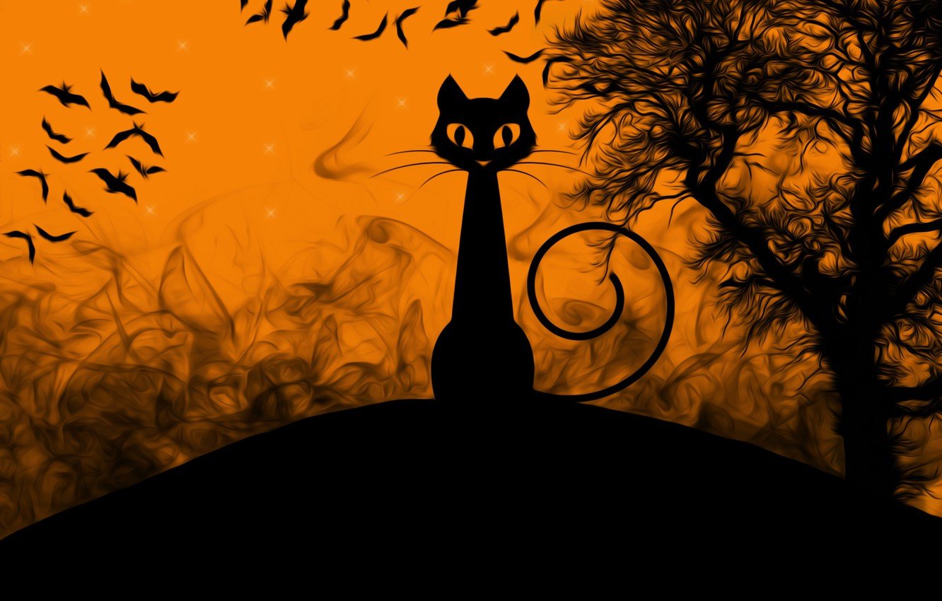 Halloween Cat Desktop Wallpapers - Wallpaper Cave