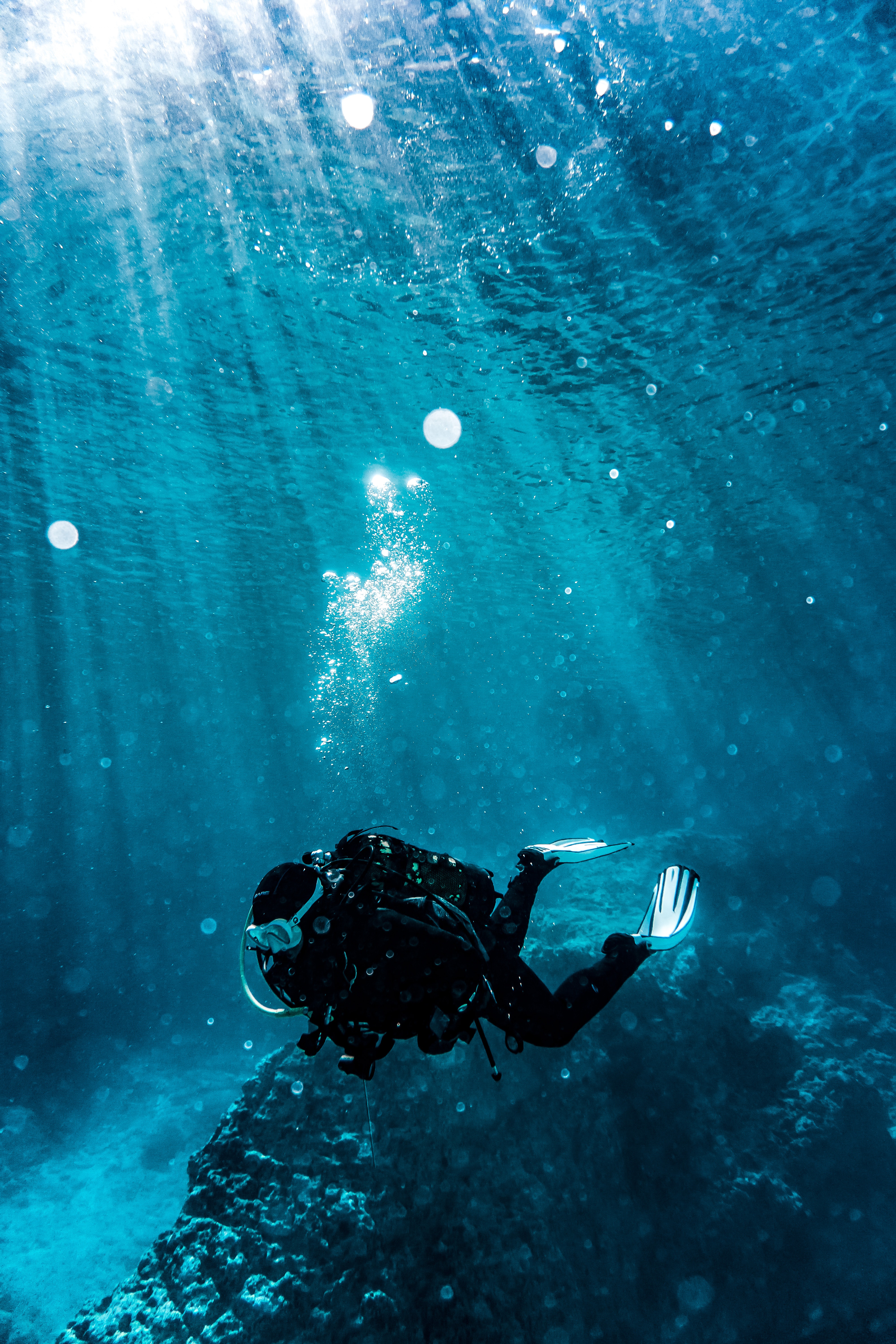 Scuba Diving Photo, Download Free Scuba Diving & HD Image