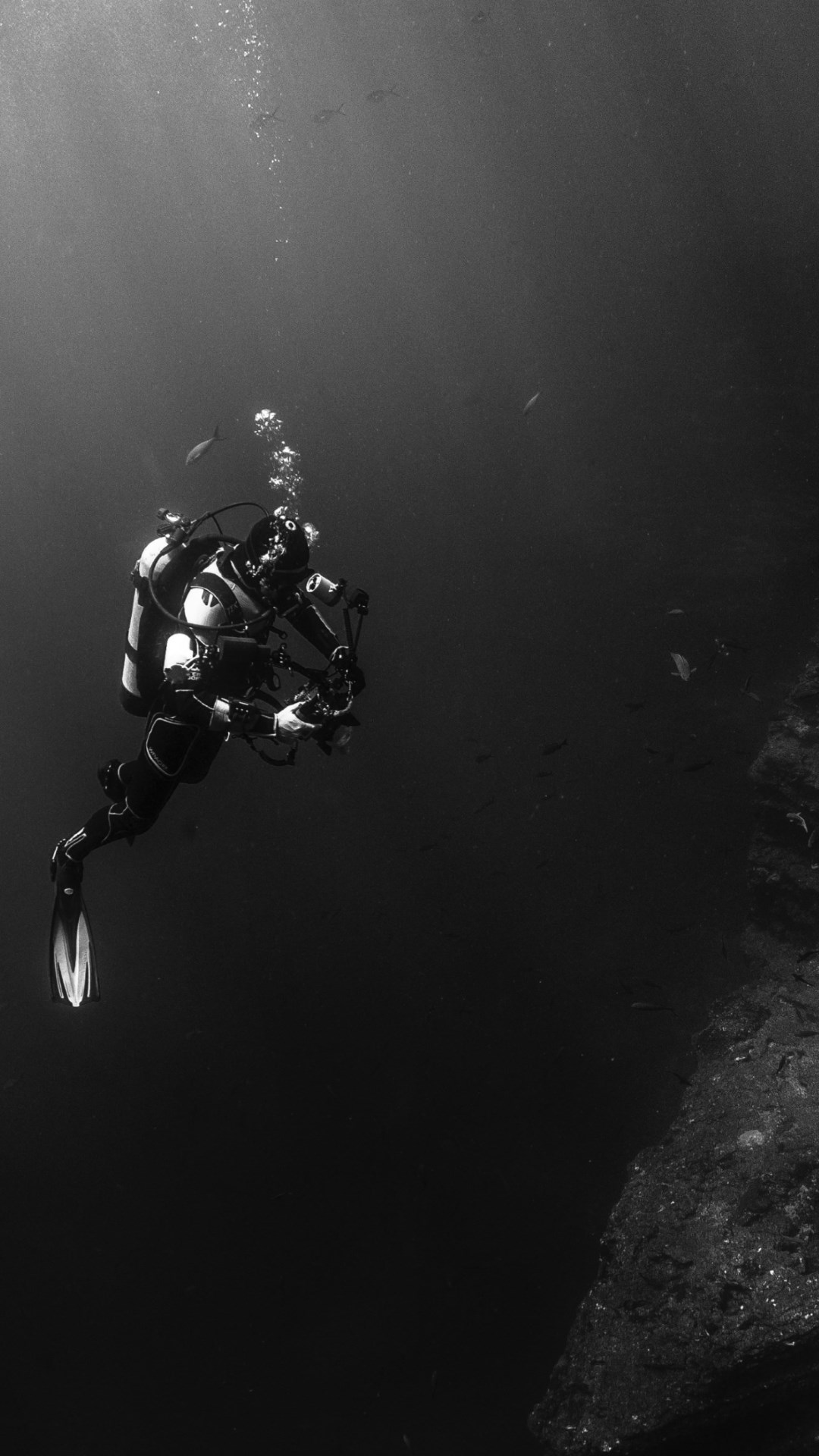 Download wallpaper: Diver in the Pacific Ocean 1080x1920