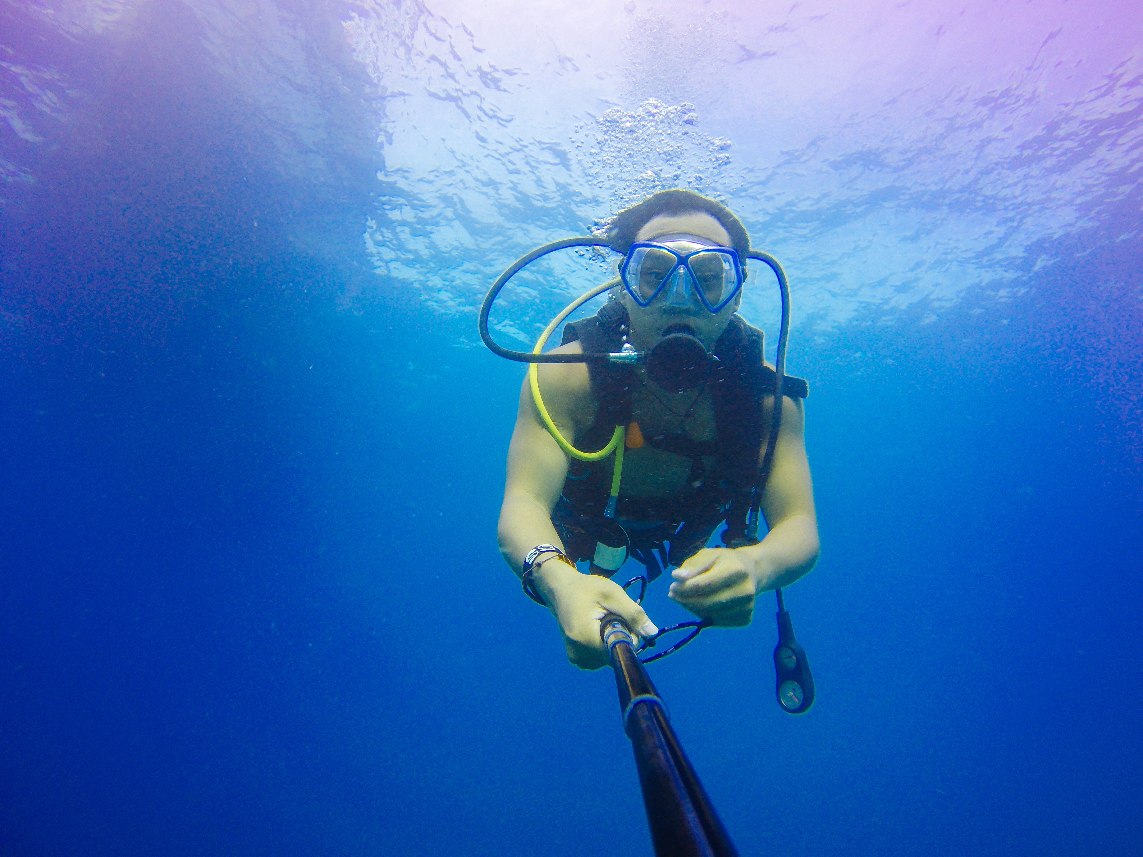 Scuba Diving Photo, Download Free Scuba Diving & HD Image
