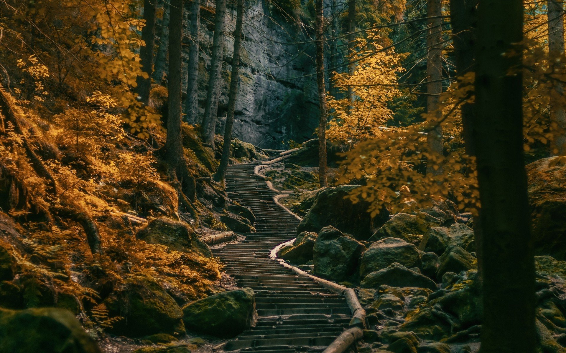 path, Stairs, Dark, Forest, Germany, Nature, Landscape, Trees, Fall, Hill, Stones Wallpaper HD / Desktop and Mobile Background