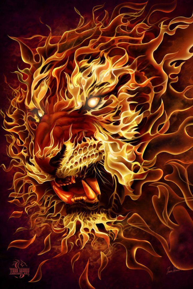 Fire Tiger. Lion artwork, Tiger artwork, Lion photography