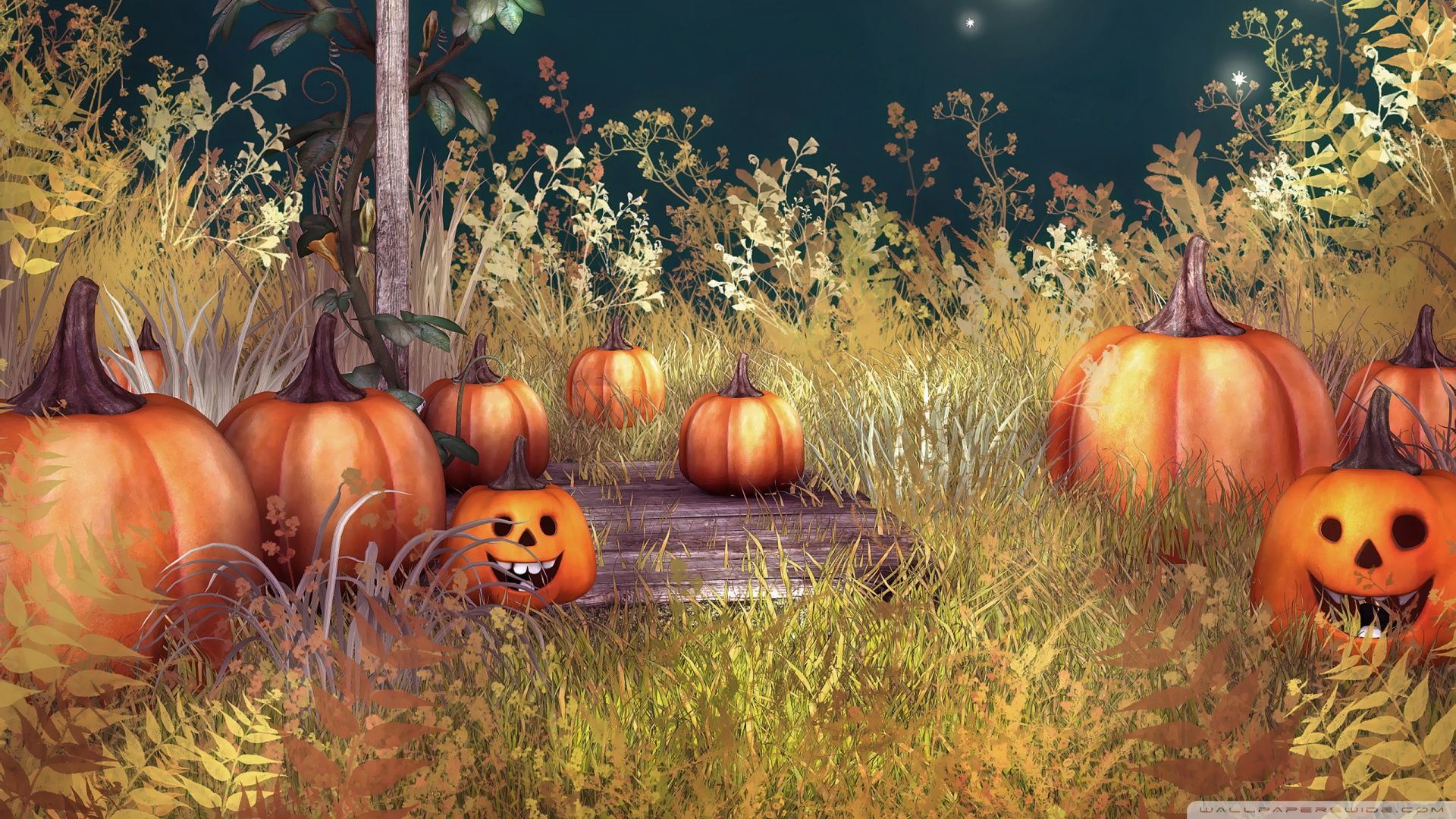 Vintage Pumpkin Wallpaper