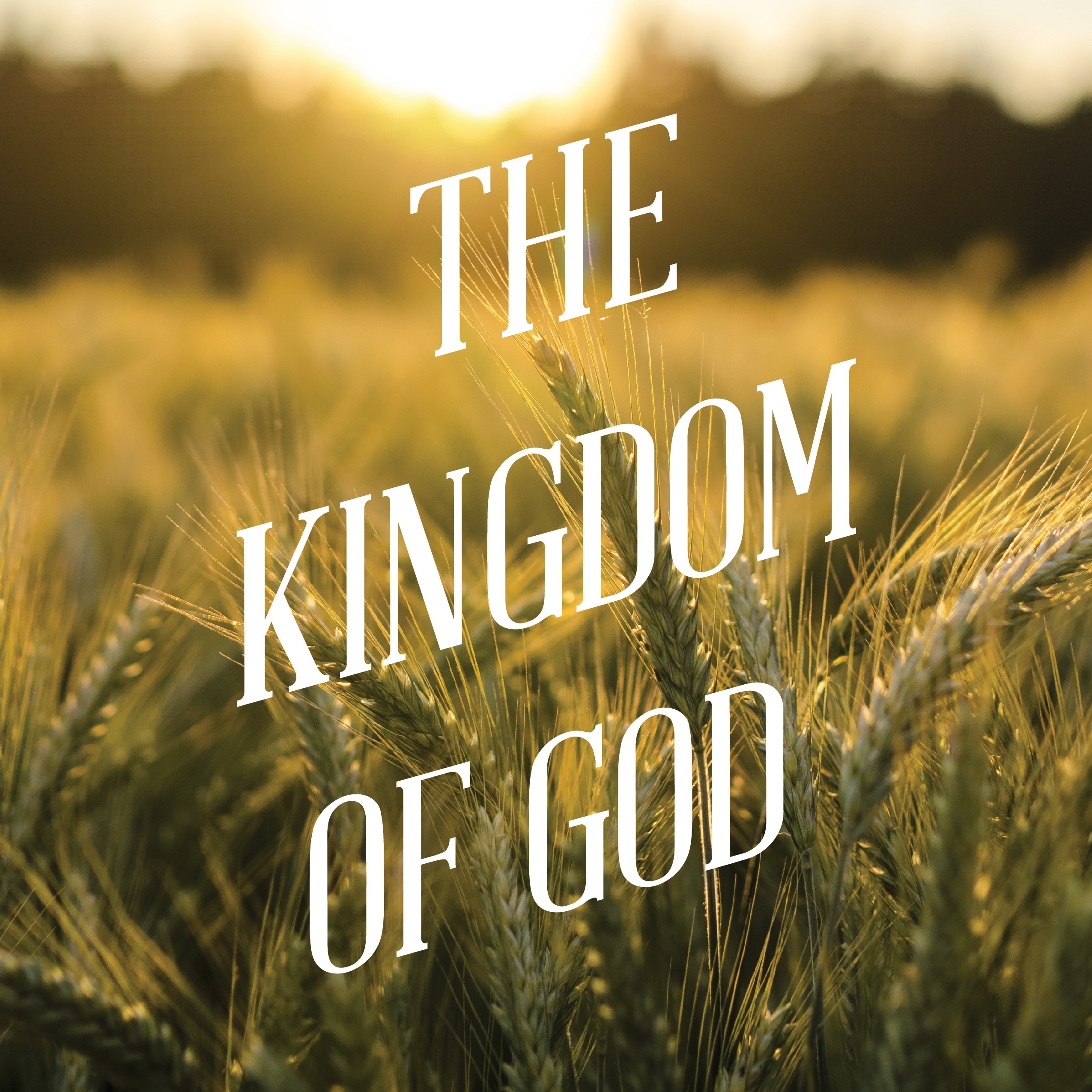 Kingdom Of God Wallpapers Wallpaper Cave