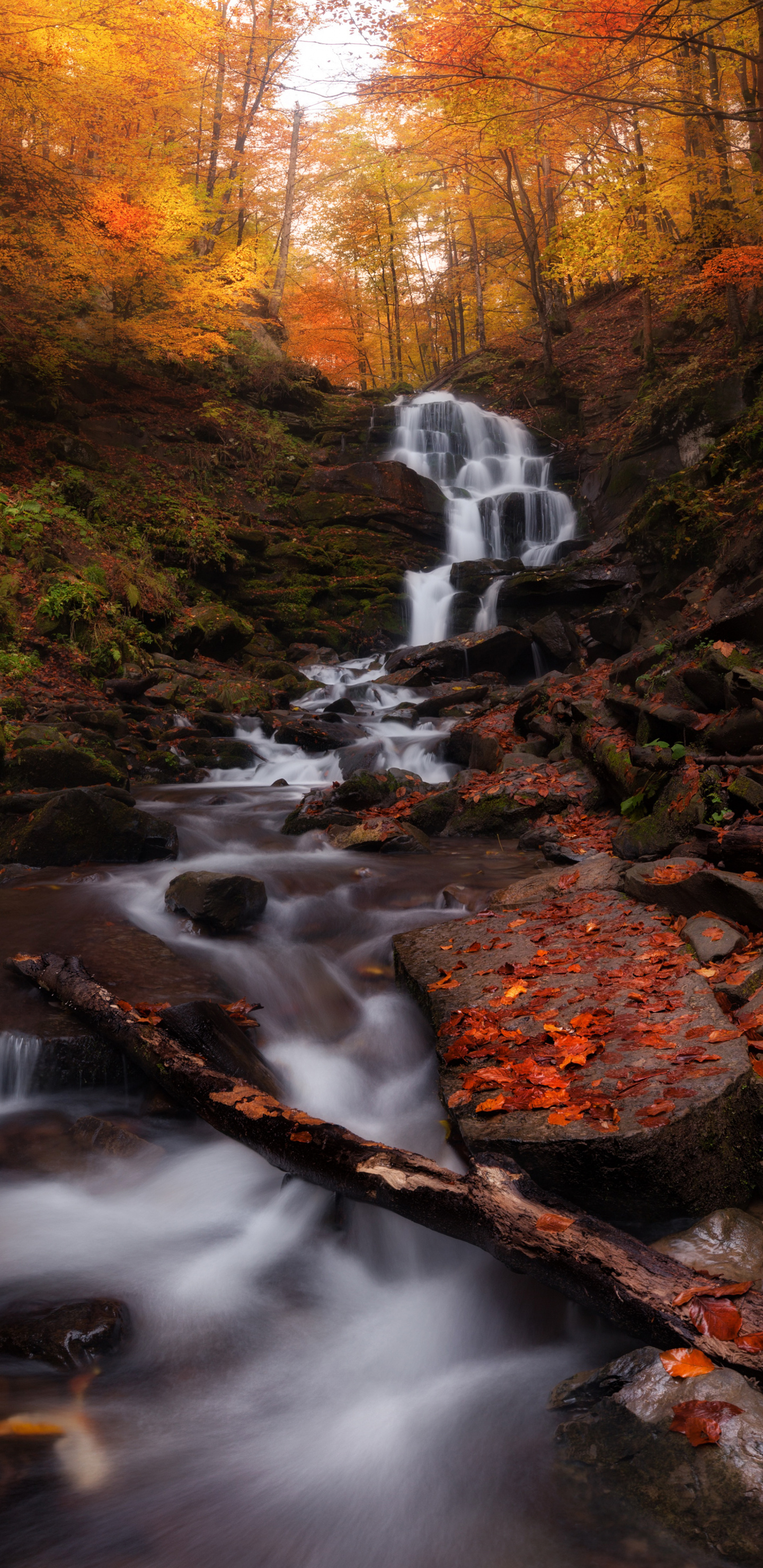 Samsung Autumn Wallpapers - Wallpaper Cave