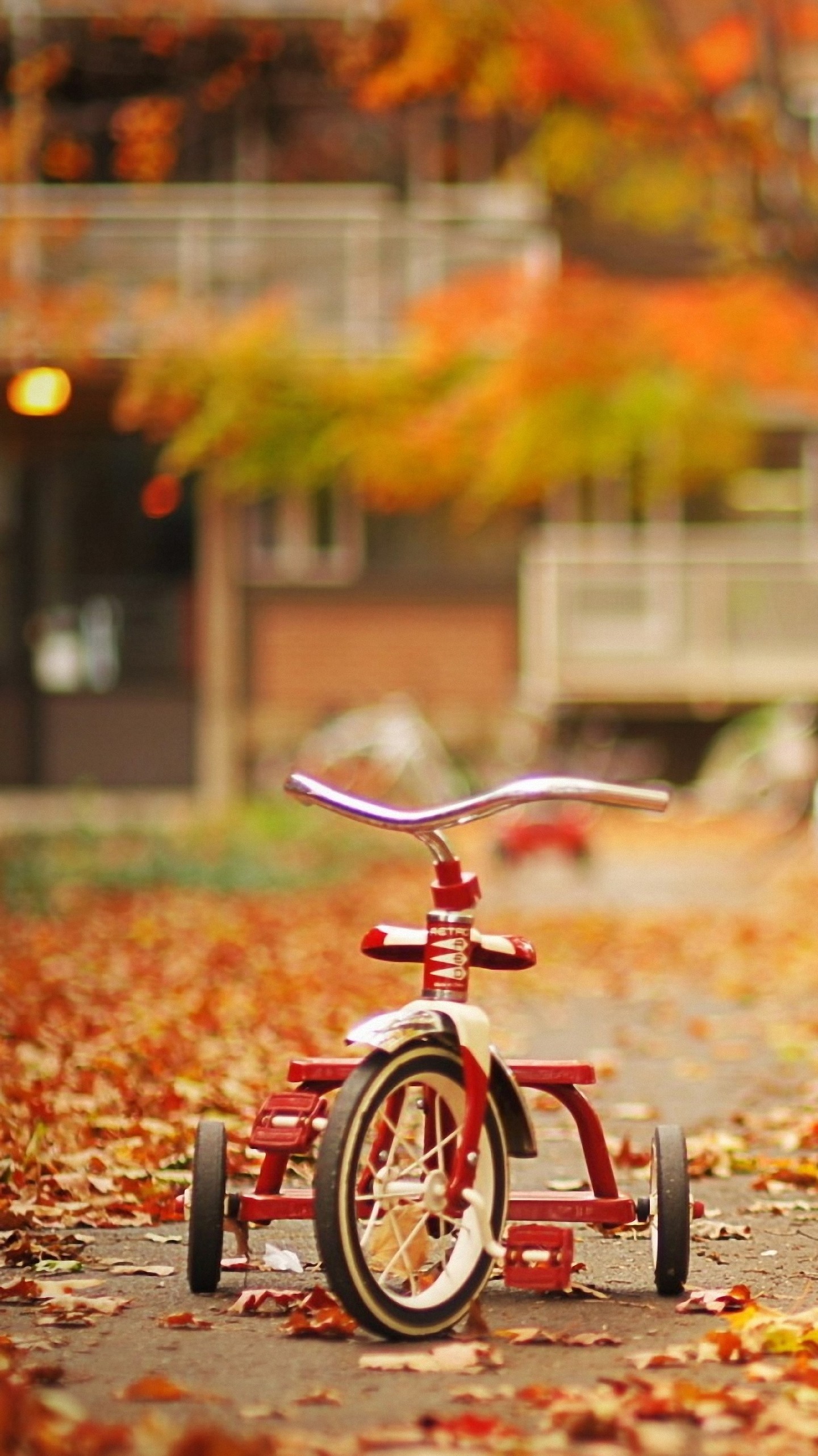 mobile wallpaper HD for samsung, bicycle, vehicle, bicycle wheel, orange, autumn