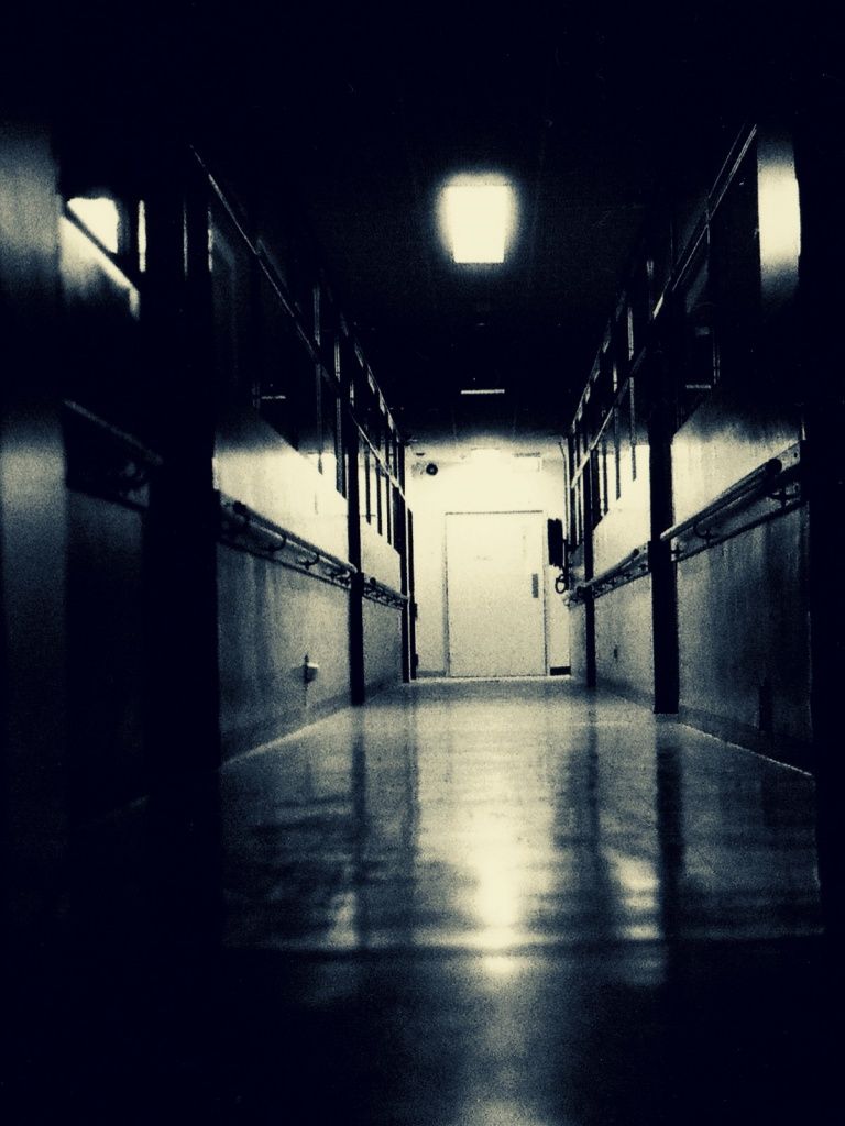 Dark Hallway. Dark hallway, Hallway wallpaper, Hallway