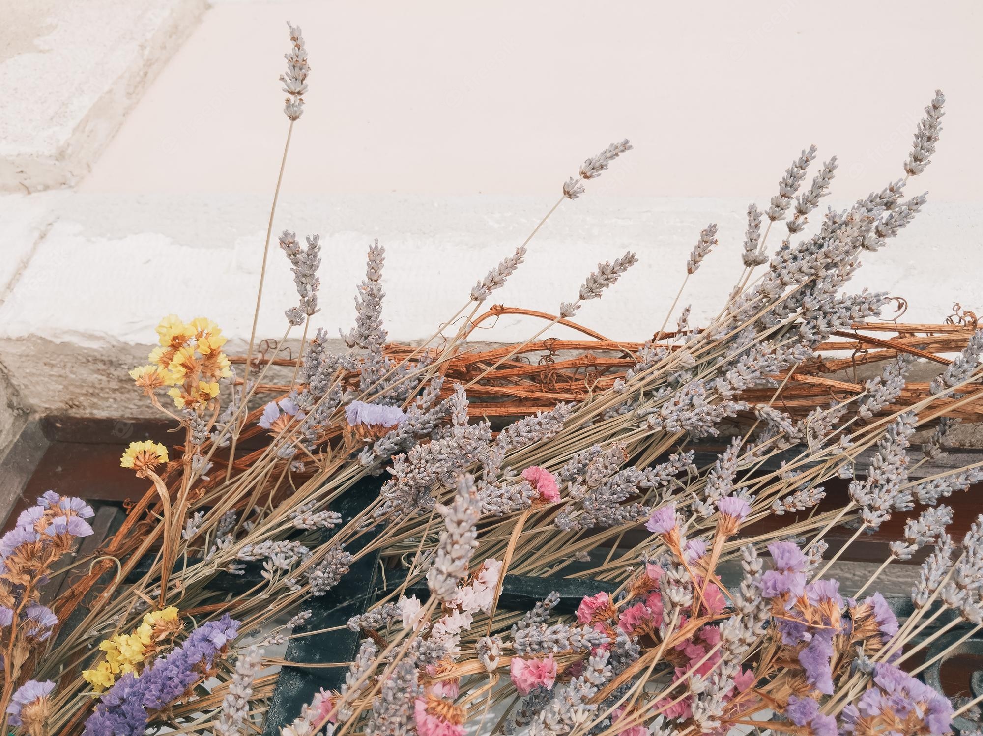 Minimalist Autumn Flower Wallpapers - Wallpaper Cave