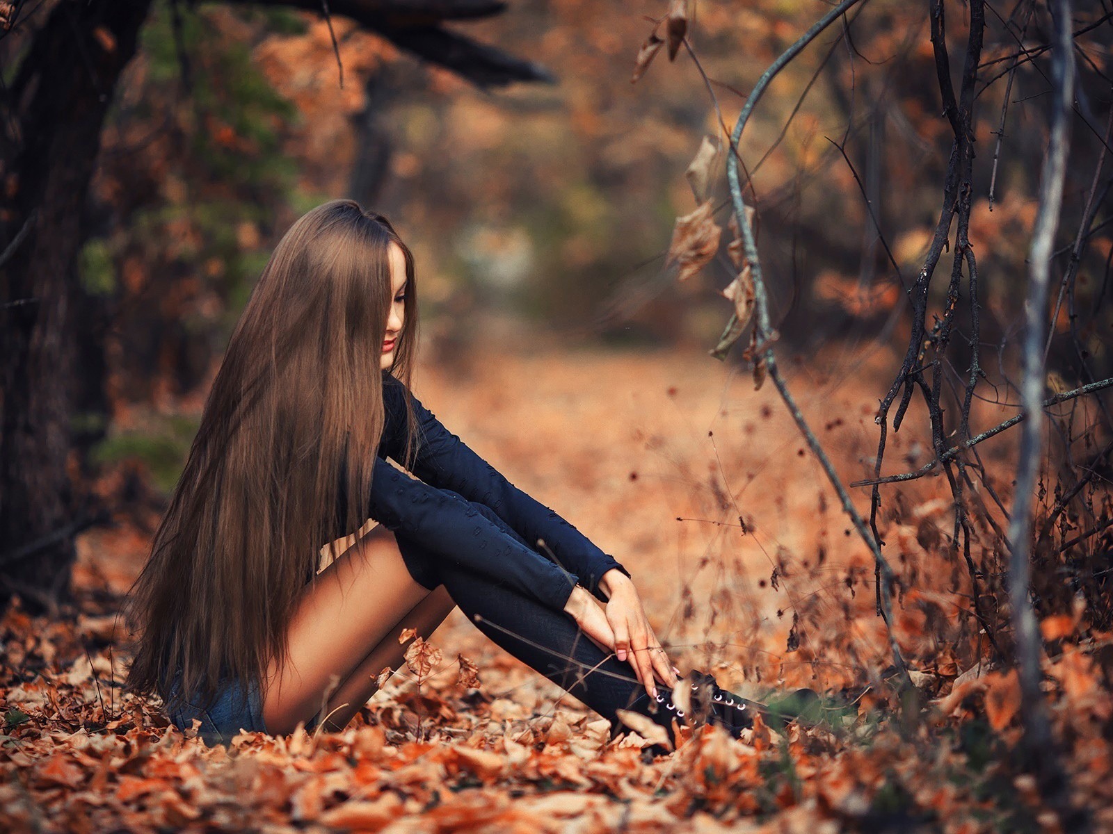Girl Autumn Forest 2016 High Quality HD Wallpaper