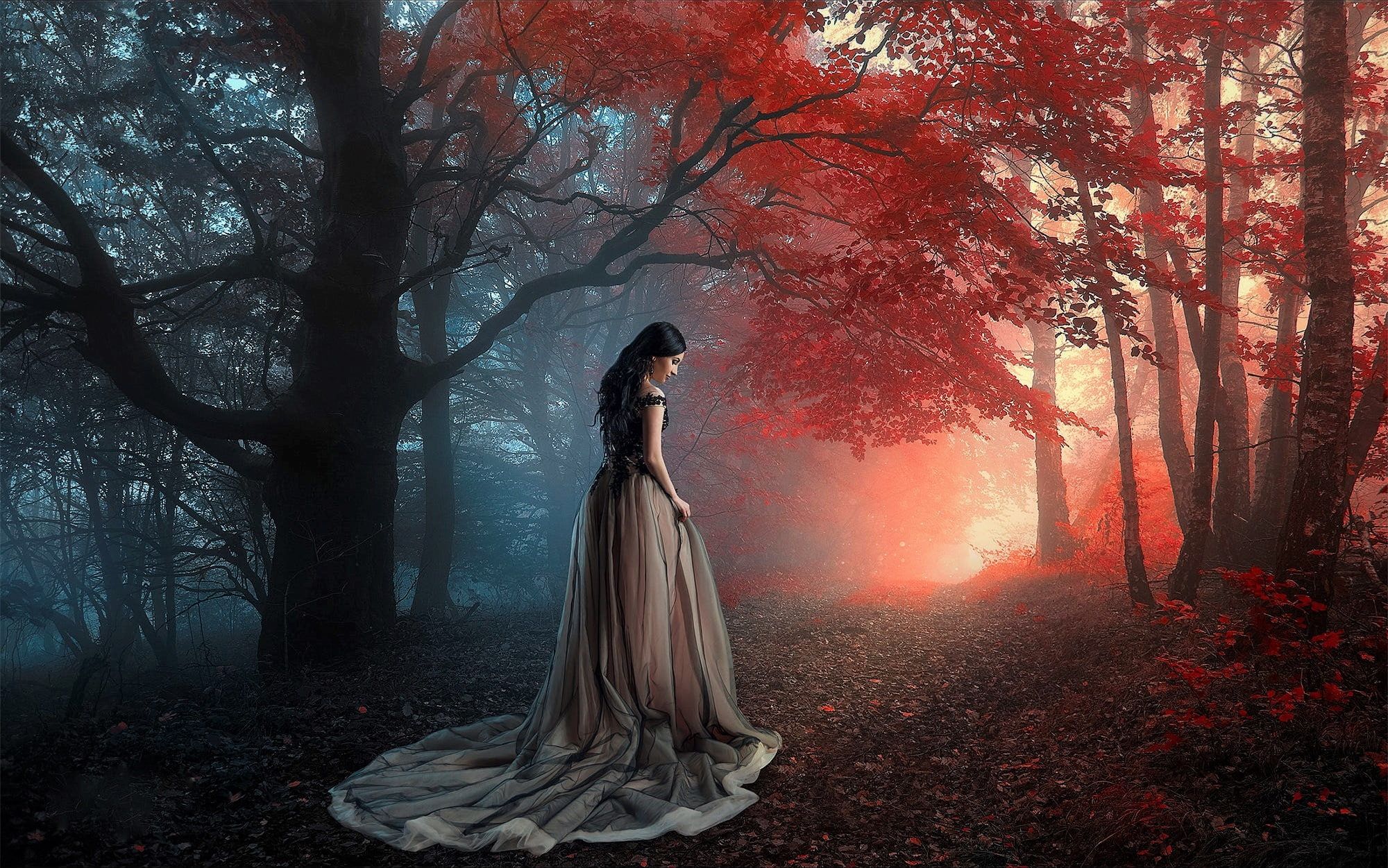 black #dress #fall #forest #girl #hair #woman P #wallpaper #hdwallpaper #desktop. Digital art girl, Silhouette painting, Pine tree silhouette