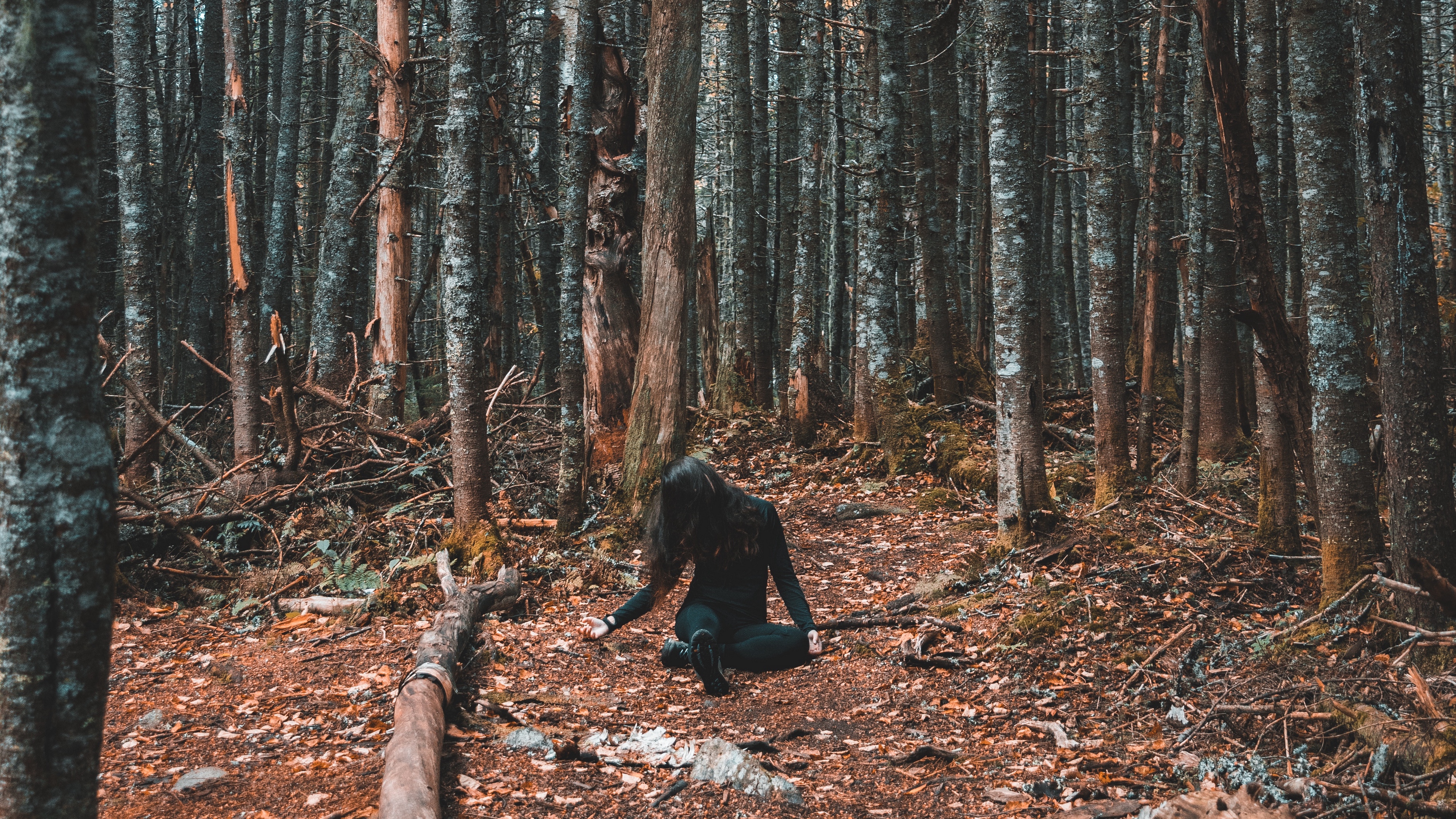 Wallpaper 4k forest, girl, loneliness, trees, autumn 4k Wallpaper