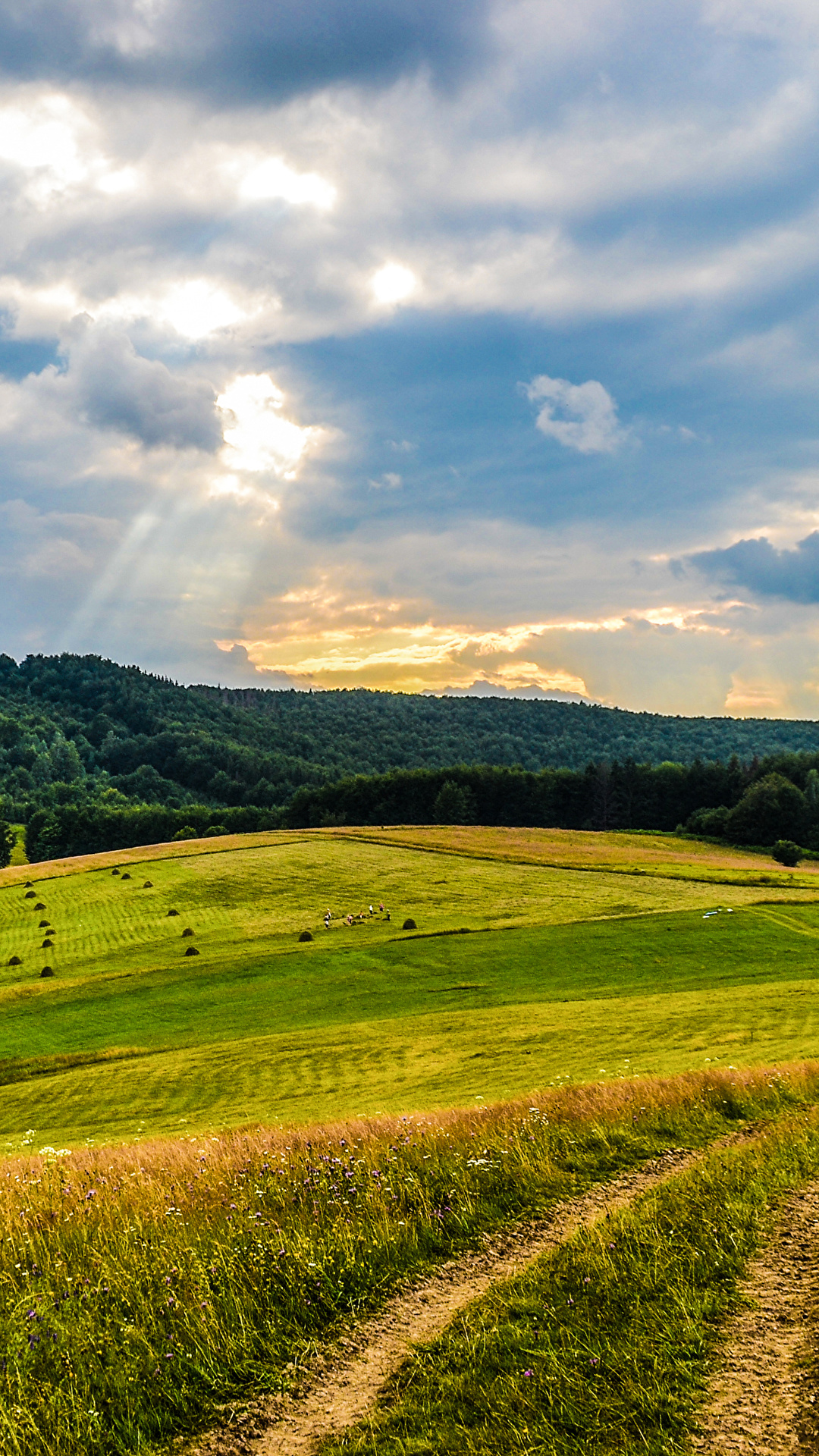 Ukraine Phone Wallpapers Wallpaper Cave