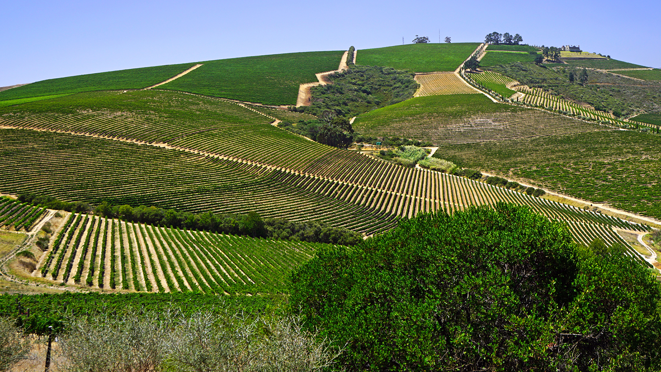 Picture South Africa Stellenbosch Nature Fields 2560x1440