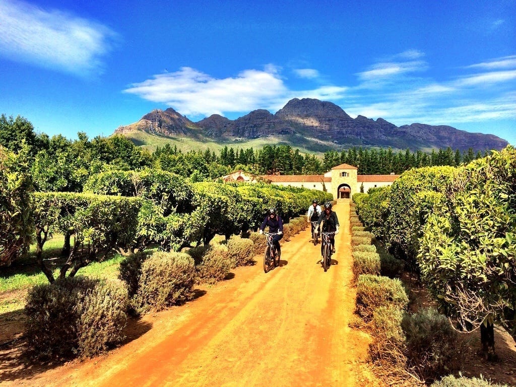Stellenbosch: Where It Is and Why You Should Go