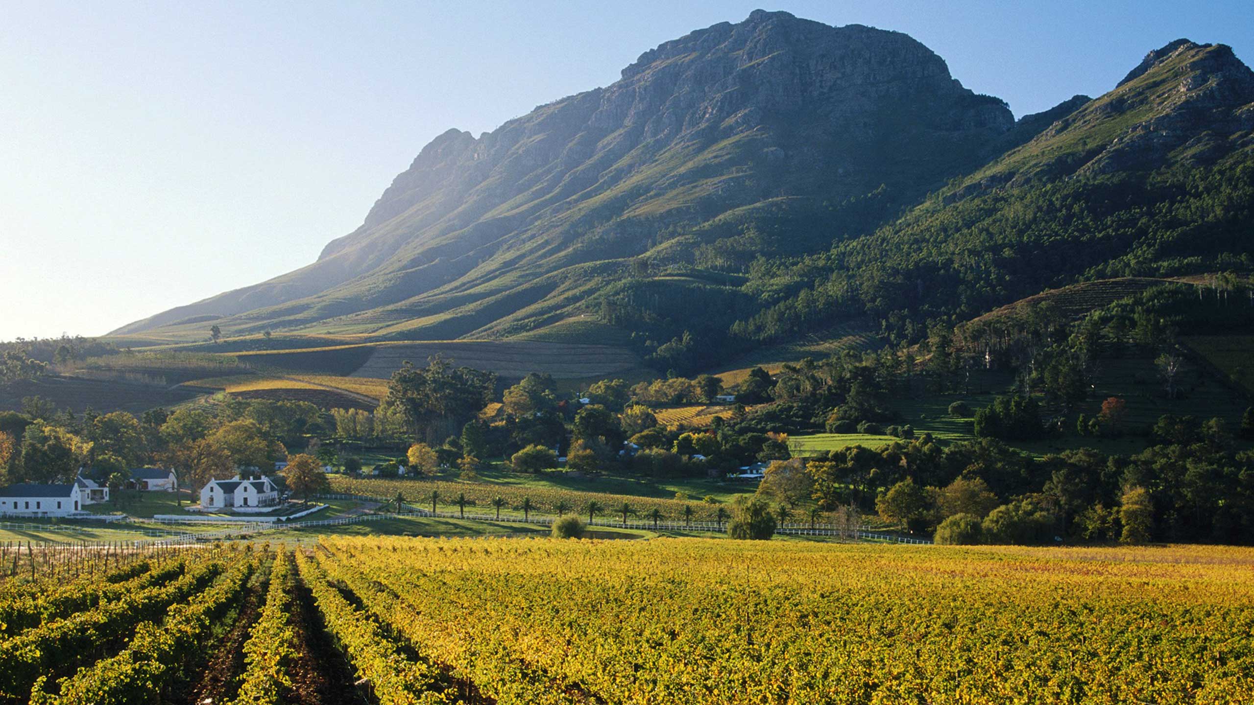 Franschhoek Wine Farms Street Boutique Hotel