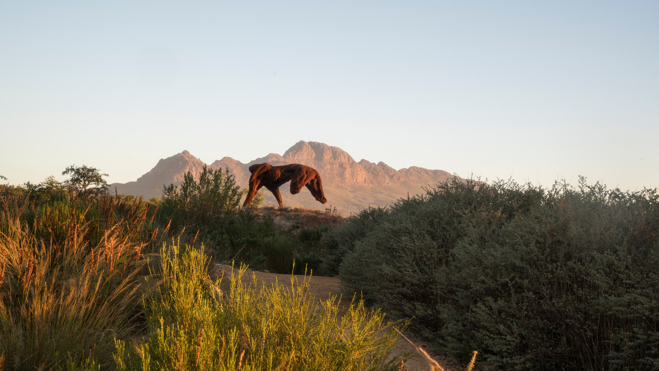 Dylan Lewis Sculpture Garden, Cape Town, South Africa Review. Condé Nast Traveler