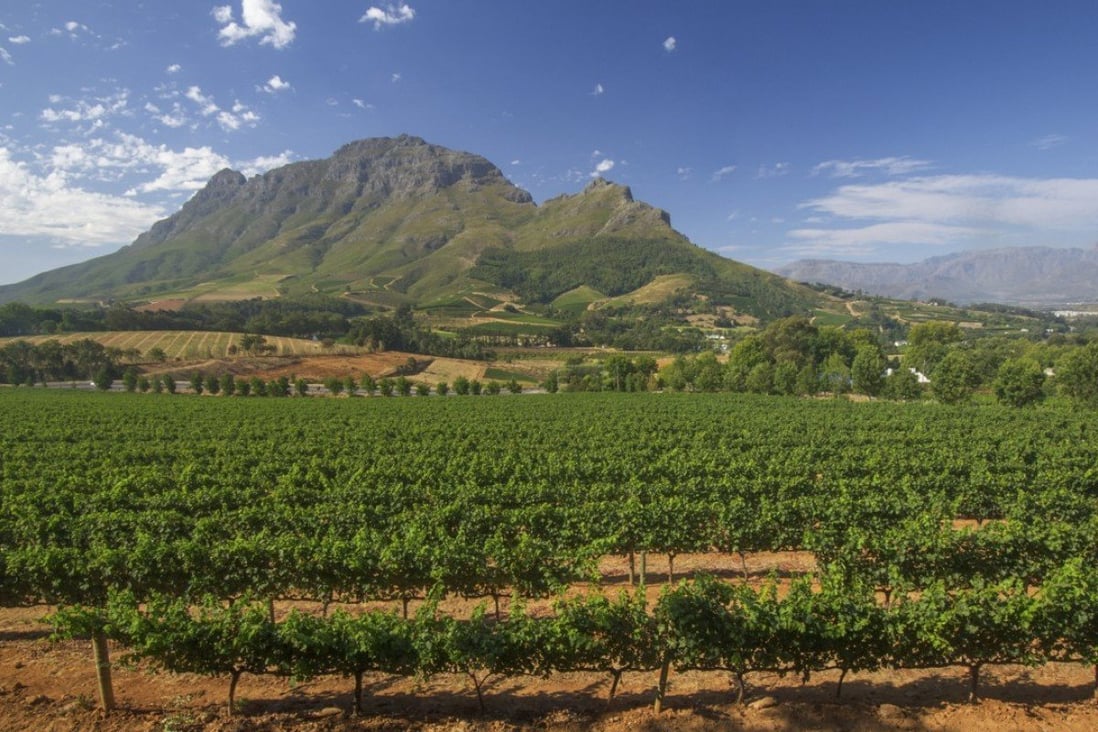 Stellenbosch Wallpapers Wallpaper Cave