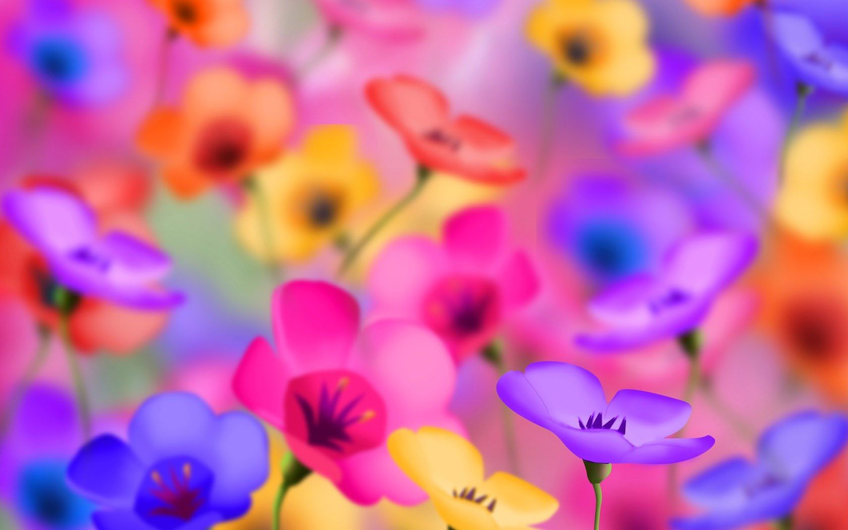 Colorful Flower Desktop Wallpaper