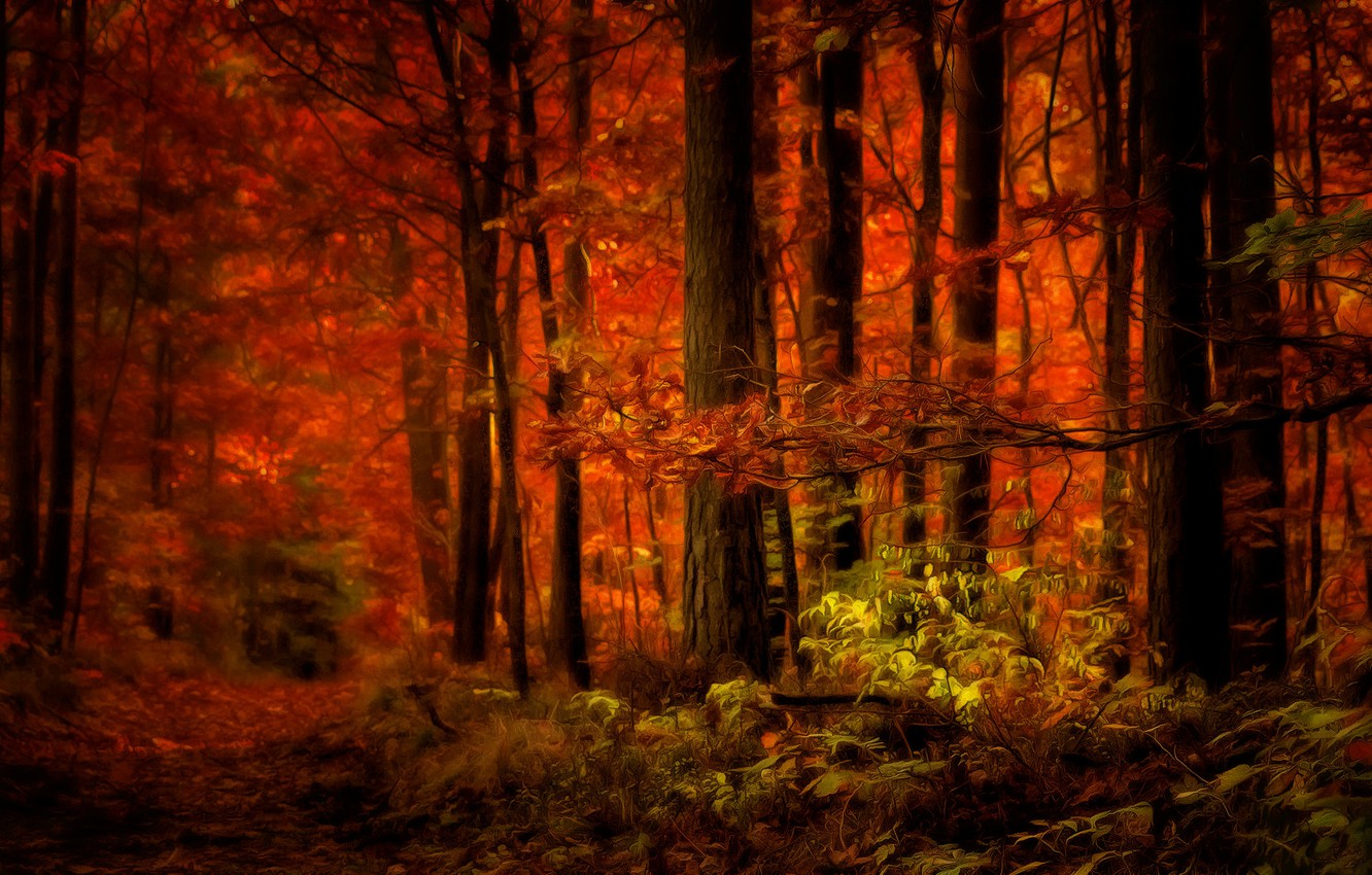 Digital Autumn Wallpapers - Wallpaper Cave