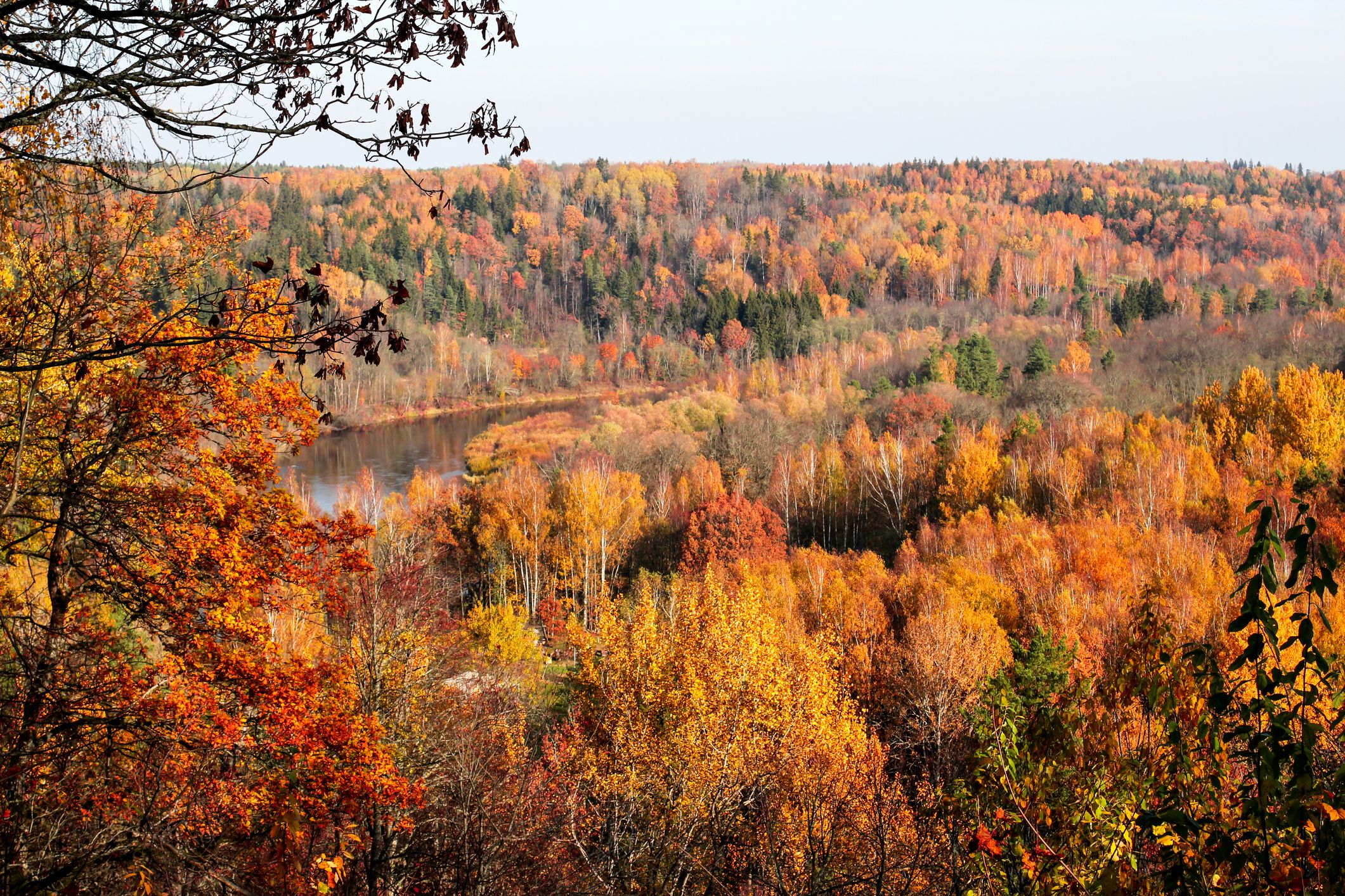 Orange Autumn Foilage Wallpapers - Wallpaper Cave