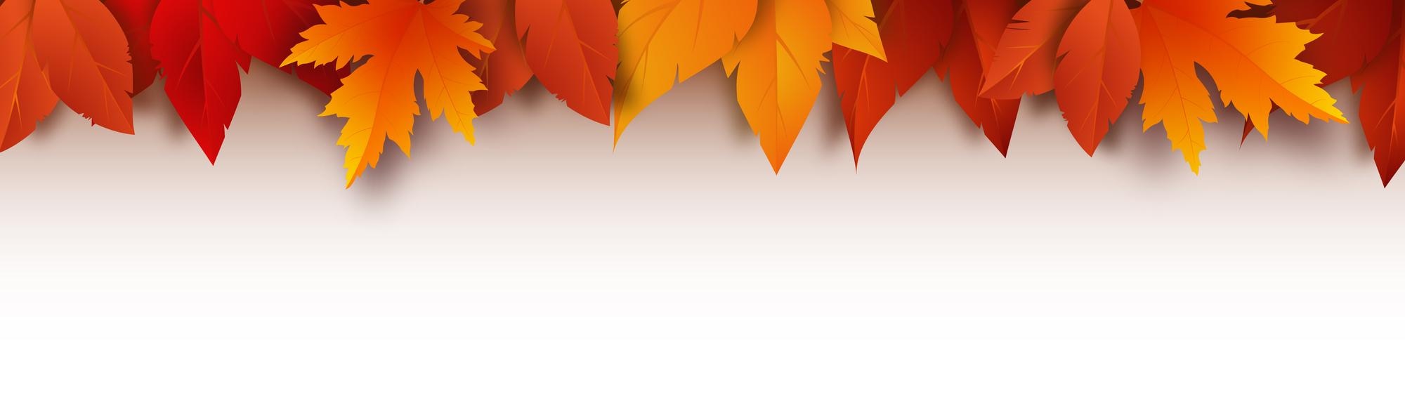 Premium Vector. Realistic yellow red orange leaves autumn foliage on white background