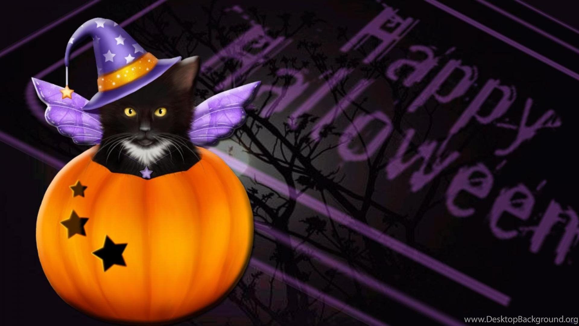 Halloween Cat Wallpaper