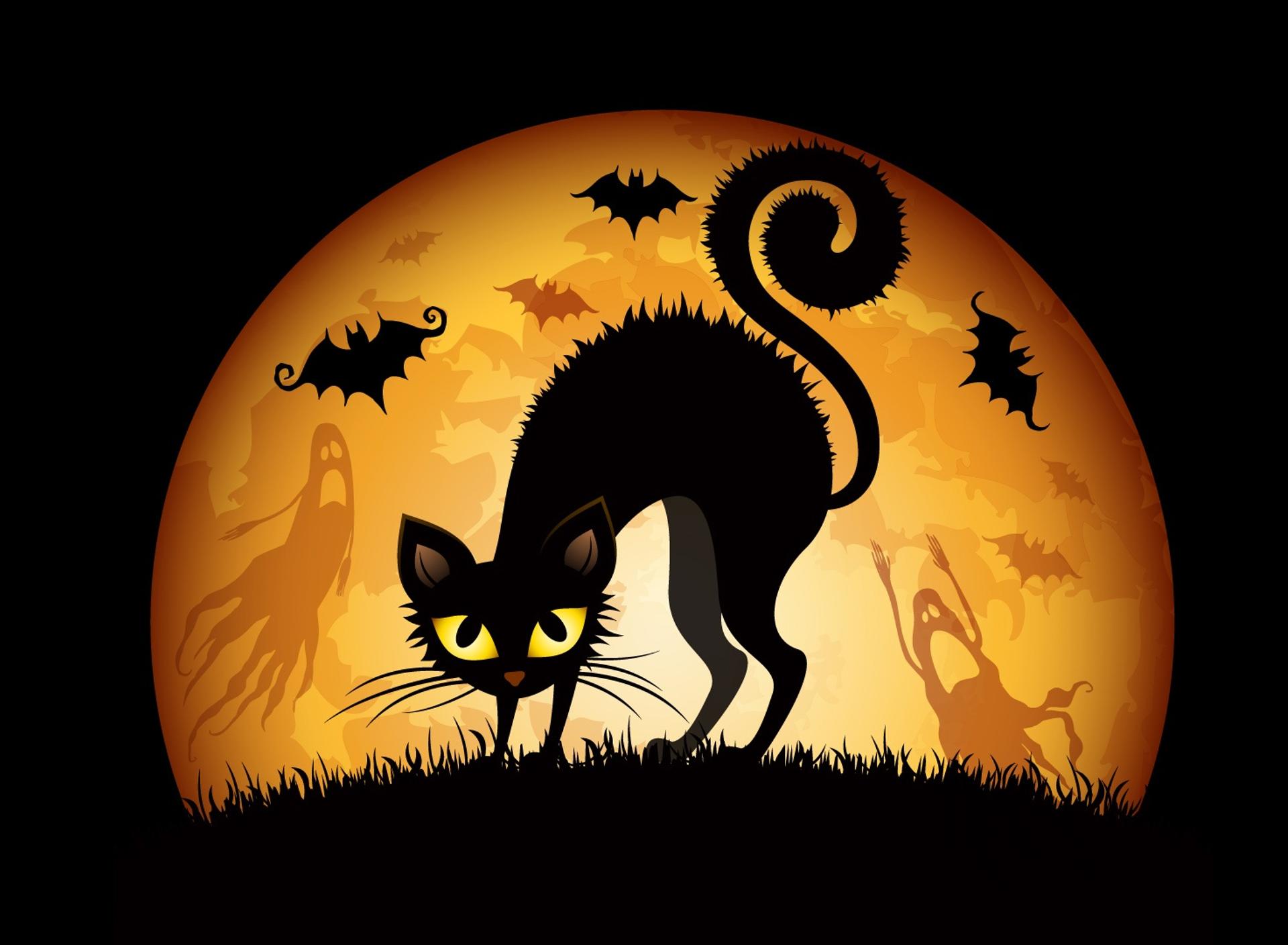 Spooky Halloween Cat Wallpapers - Wallpaper Cave