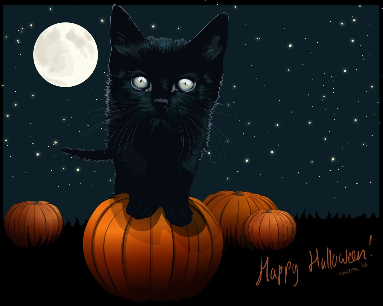 Halloween is that one weird event for which youth and adults wait since the beginning of the O. Halloween wallpaper background, Halloween picture, Halloween cat