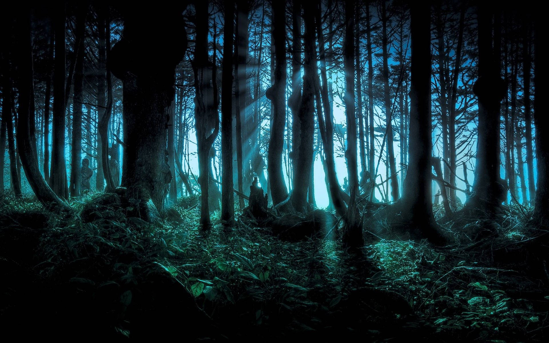 Download Dark Halloween Forest Wallpaper