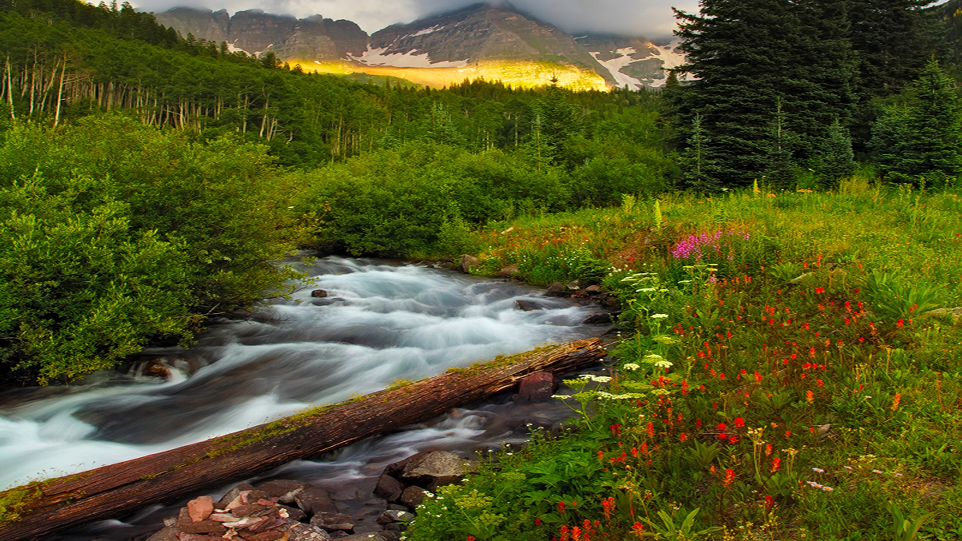 Beautiful Scenery And Mountainous River Flowers Green Trees
