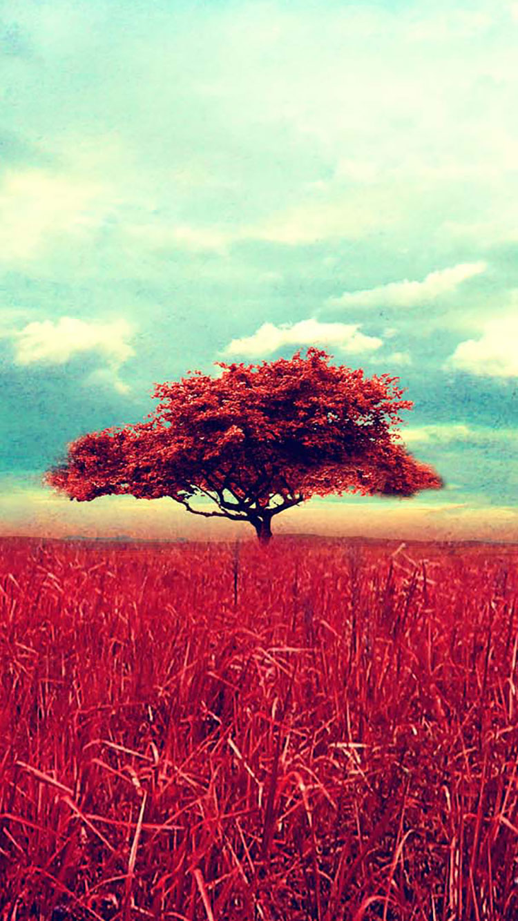 vintage iphone wallpaper, natural landscape, nature, sky, tree, red