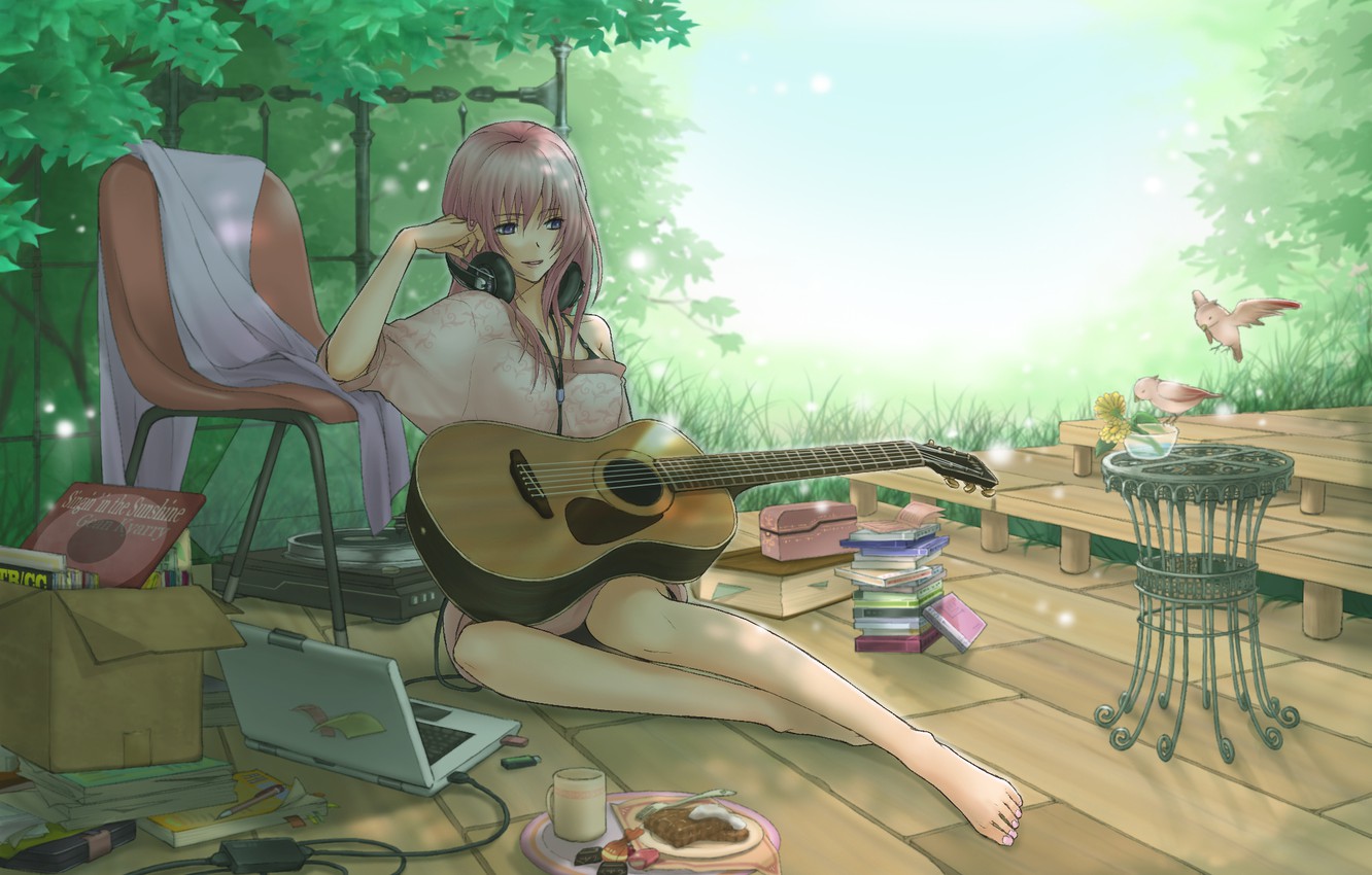 Wallpaper girl, birds, guitar, headphones, art, laptop, vocaloid, drives, megurine luka, shirano image for desktop, section арт