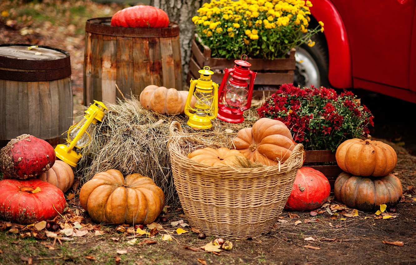 Pumpkin Harvest Wallpapers - Wallpaper Cave