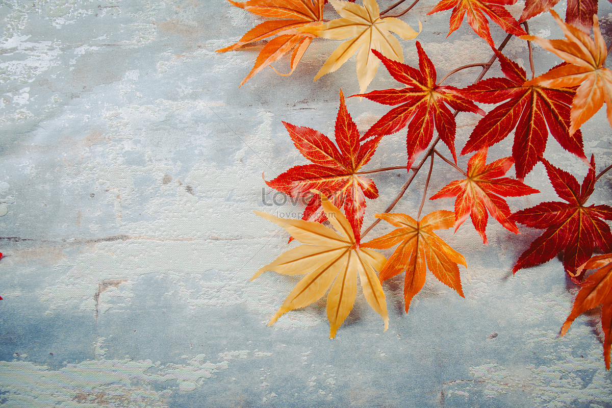 Autumn Equinox Wallpapers - Wallpaper Cave